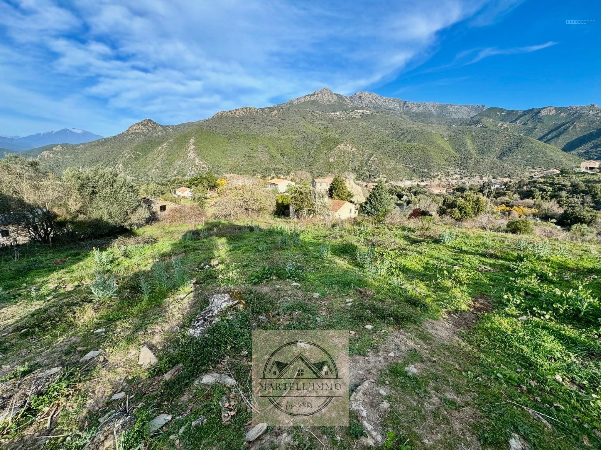 PONTE NOVU - Magnifique terrain à vendre — photo 3