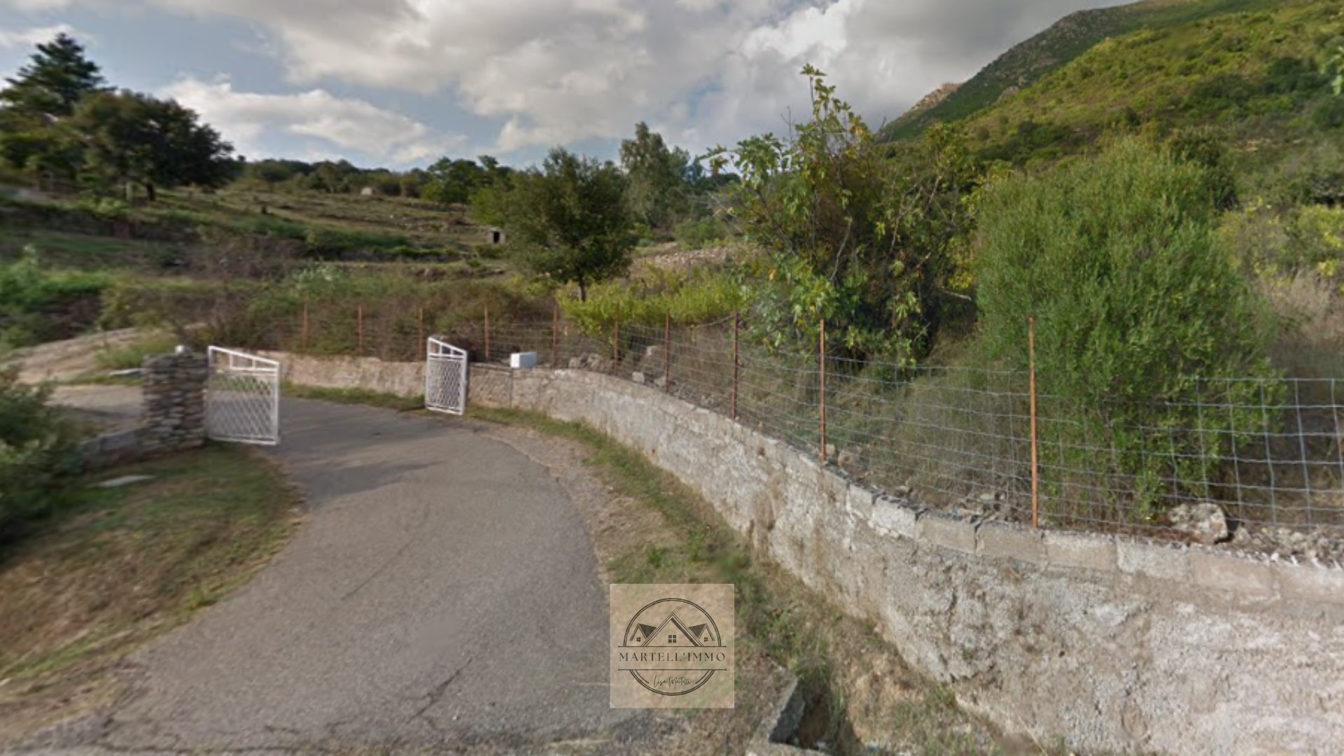 Terrain à vendre   Canavaggia (20235) — photo 2