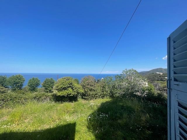 CAP CORSE - PINO Grande Maison 234 m2 avec vue mer et jardin — photo 6