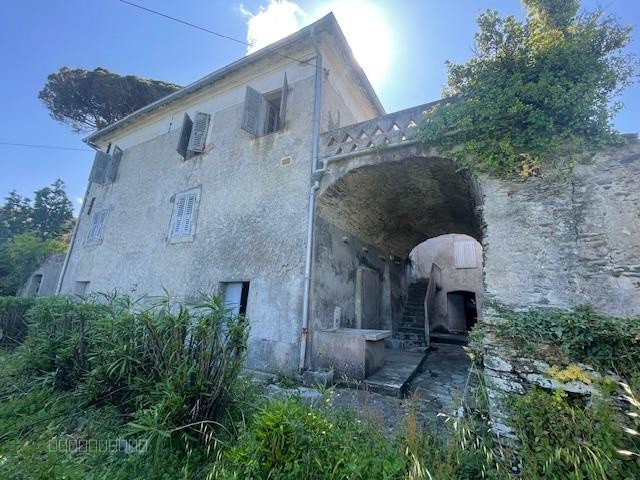 CAP CORSE - PINO Grande Maison 234 m2 avec vue mer et jardin — photo 4