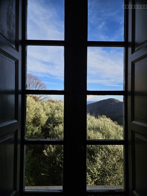Appartement F3 de charme meublé à FIGARELLA (Santa Maria di Lota) — photo 13