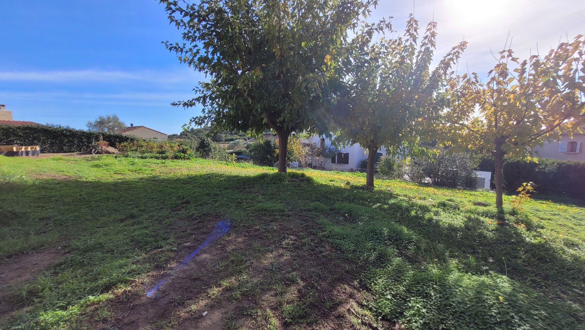 ALERIA BELLE MAISON EN PIERRE DE 267 M2 AVEC TERRAIN DE 1427 M2  ET PISCINE — photo 8
