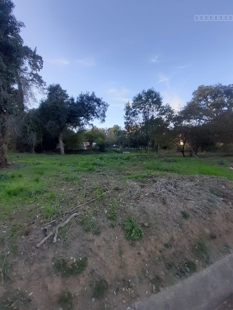 BEAU TERRAIN CONSTRUCTIBLE A SAN NICOLAO DI MORIANI — photo 3