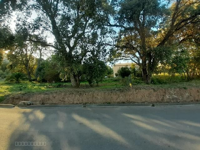BEAU TERRAIN CONSTRUCTIBLE A SAN NICOLAO DI MORIANI — photo 2