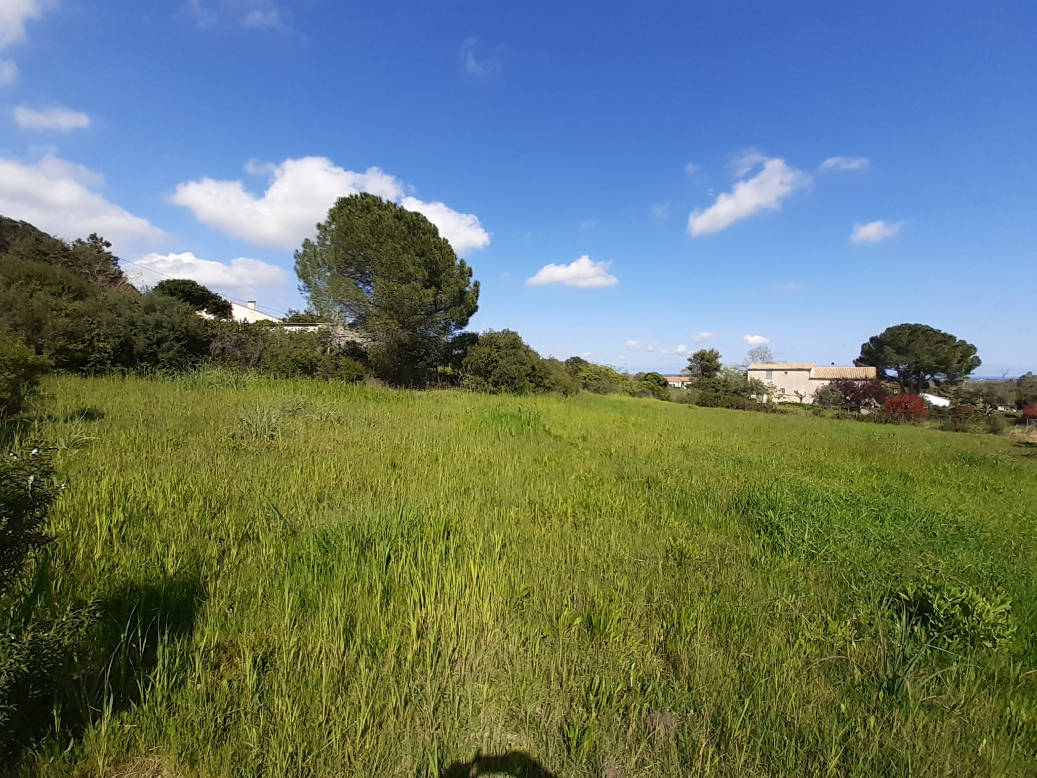 MAISON PIERAGGI BEAU TERRAIN  CONSTRUCTIBLE DE 1168 M2 — photo 2
