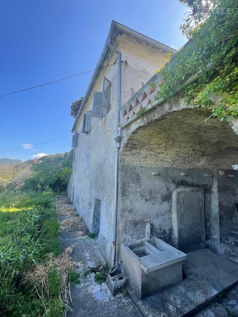 CAP CORSE - PINO Grande Maison 234 m2 avec vue mer et jardin — photo 5