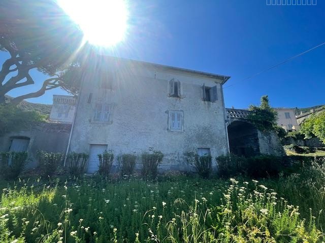 CAP CORSE - PINO Grande Maison 234 m2 avec vue mer et jardin — photo 3