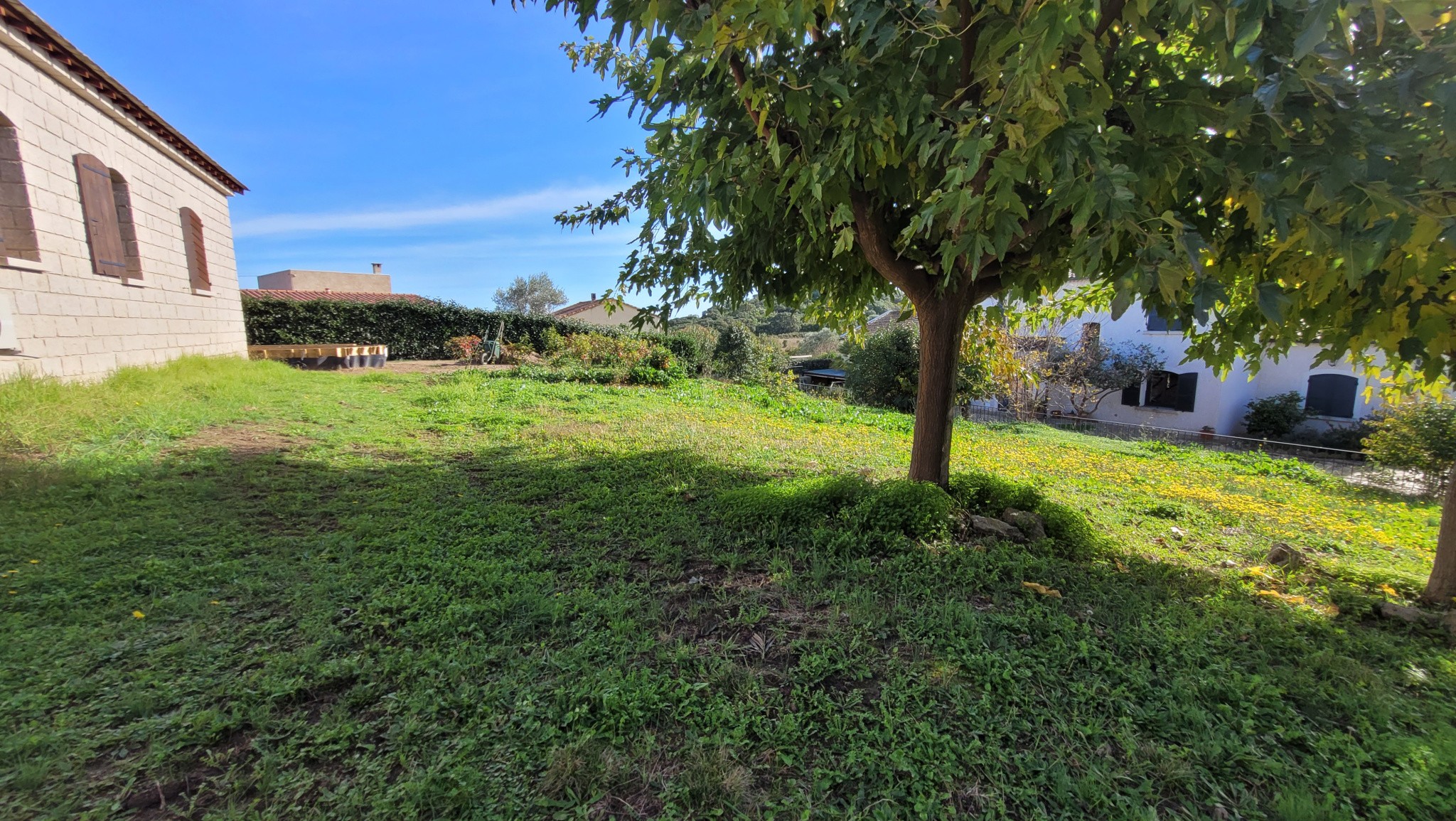ALERIA BELLE MAISON EN PIERRE DE 267 M2 AVEC TERRAIN DE 1427 M2  ET PISCINE — photo 7