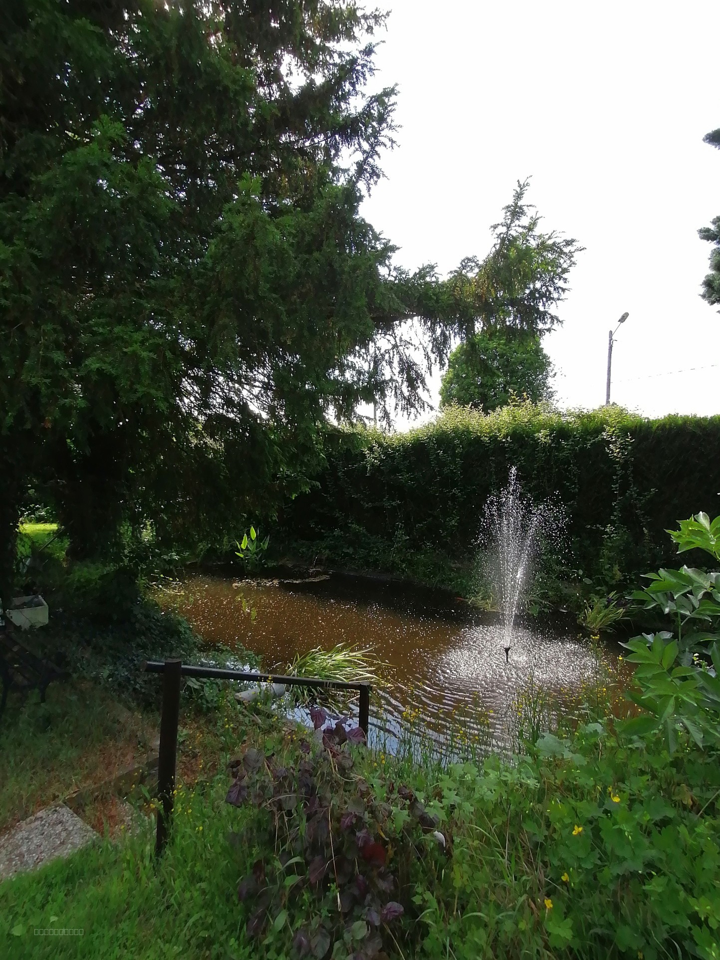15 MINUTES DE BOURGTHEROULDE — photo 10