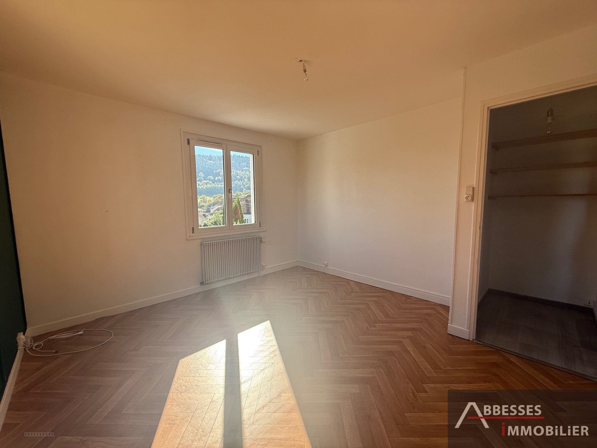 REMIREMONT - En impasse : Maison individuelle — photo 20