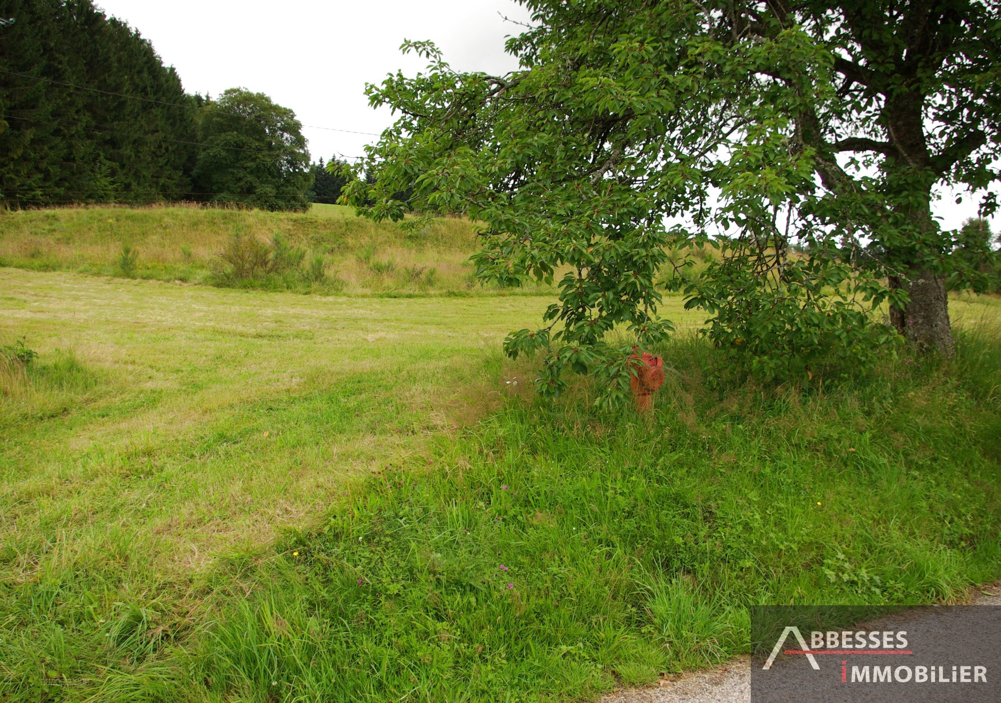 EN EXCLUSIVITÉ - A 10 min de REMIREMONT : Beau terrain à bâtir avec vue dégagée — photo 2