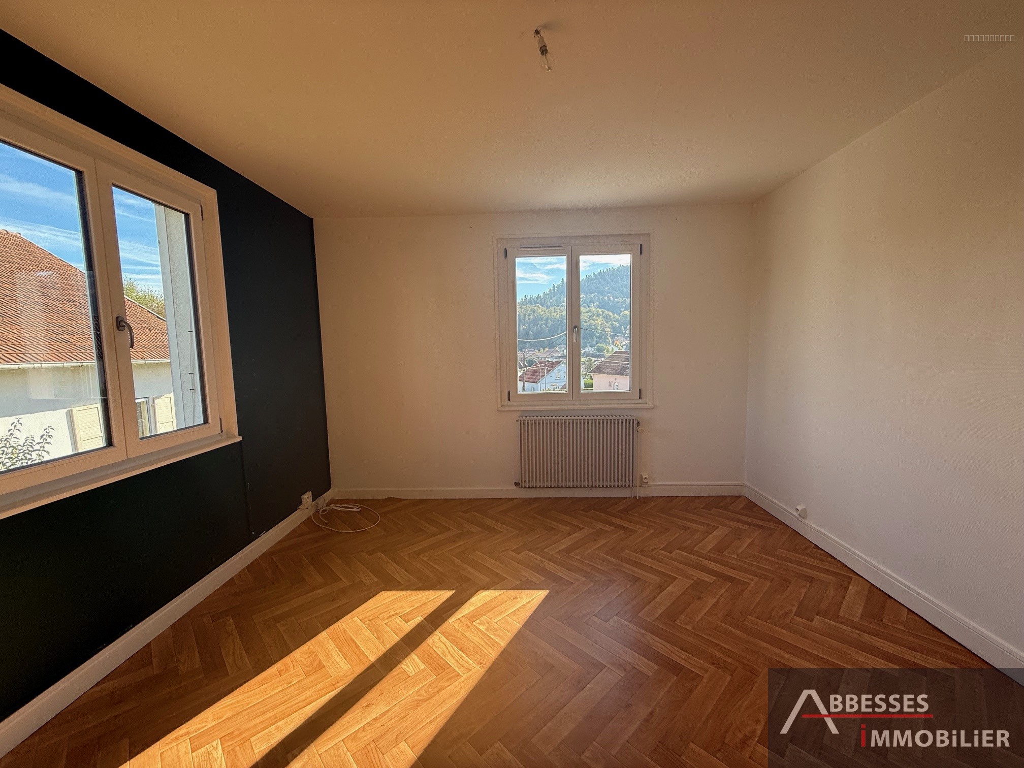 REMIREMONT - En impasse : Maison individuelle — photo 11
