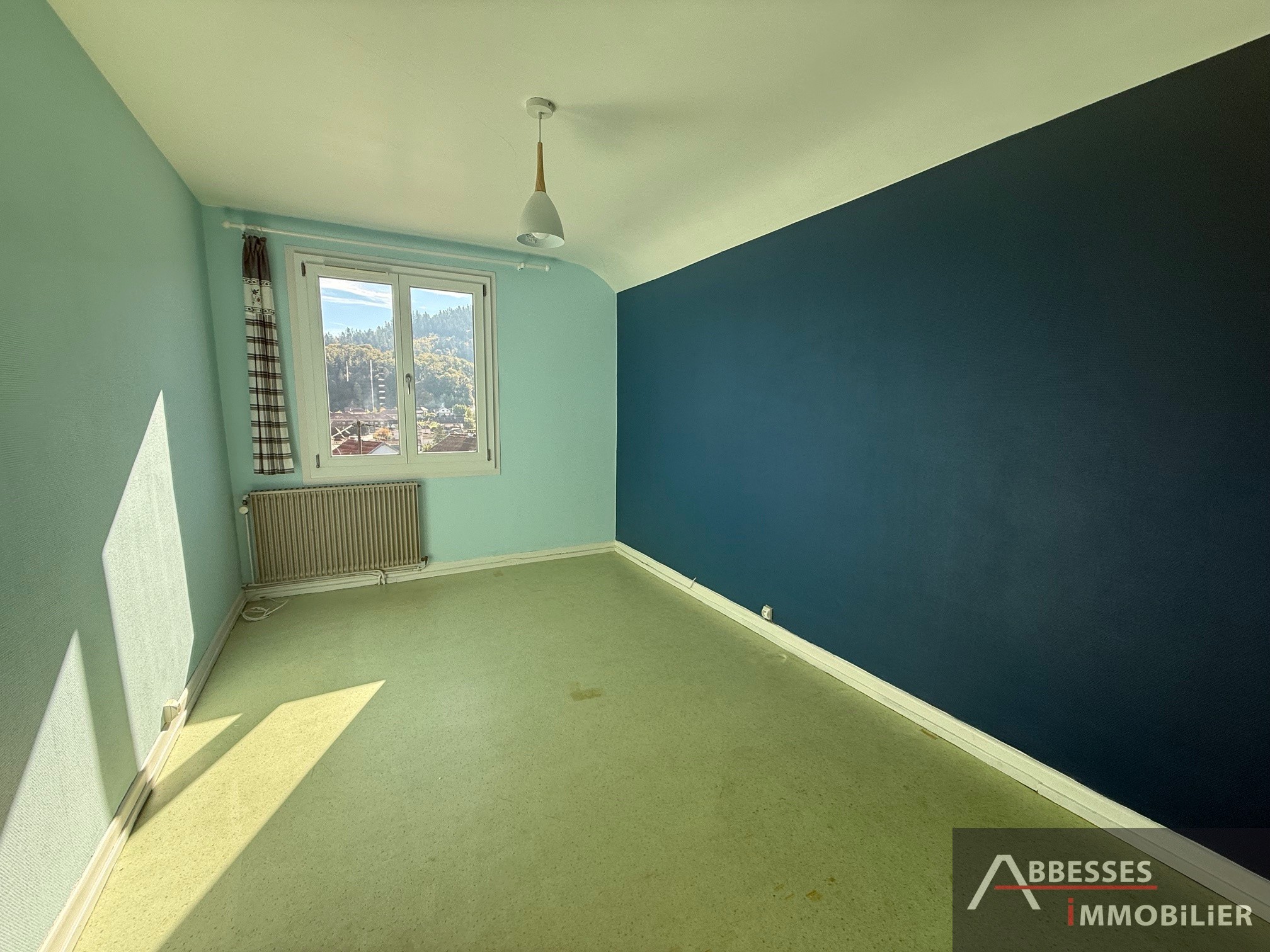 REMIREMONT - En impasse : Maison individuelle — photo 17