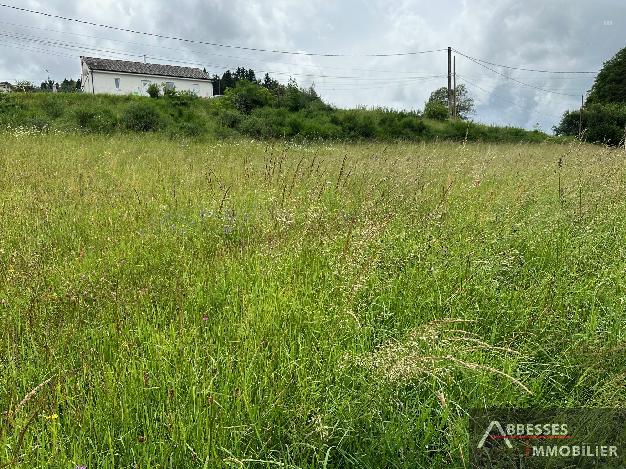 EN EXCLUSIVITÉ - A 10 min de REMIREMONT : Beau terrain à bâtir avec vue dégagée — photo 3