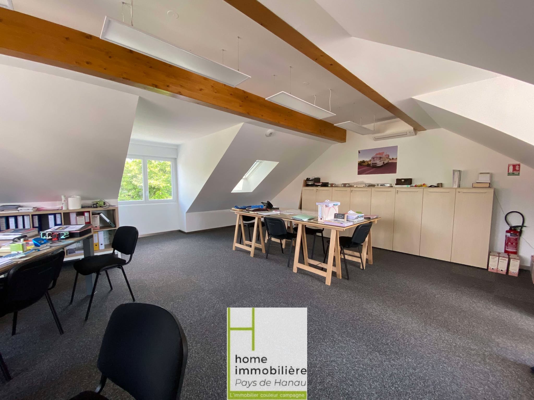Local professionnel - Secteur HOCHFELDEN — photo 7