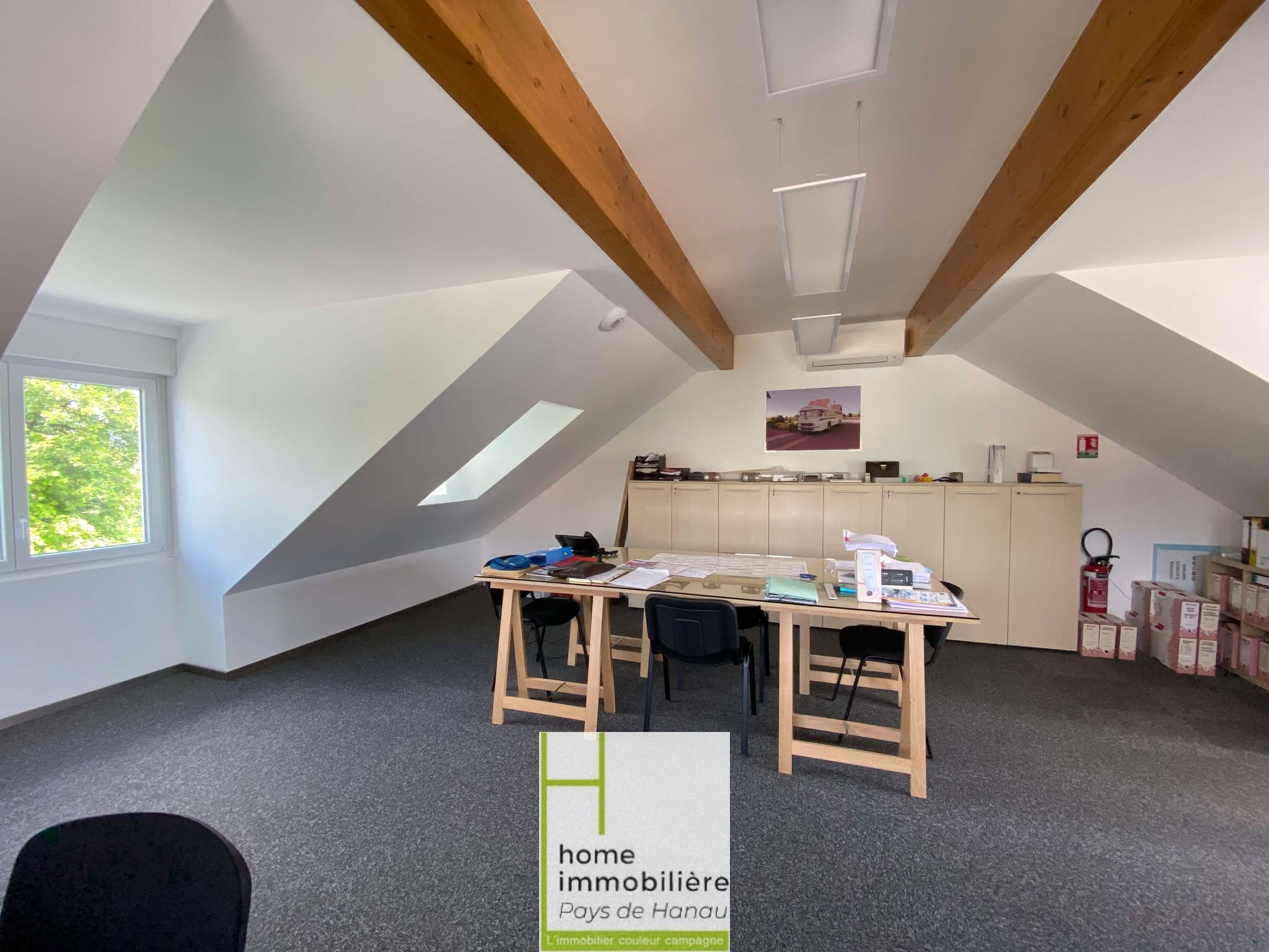 Local professionnel - Secteur HOCHFELDEN — photo 13