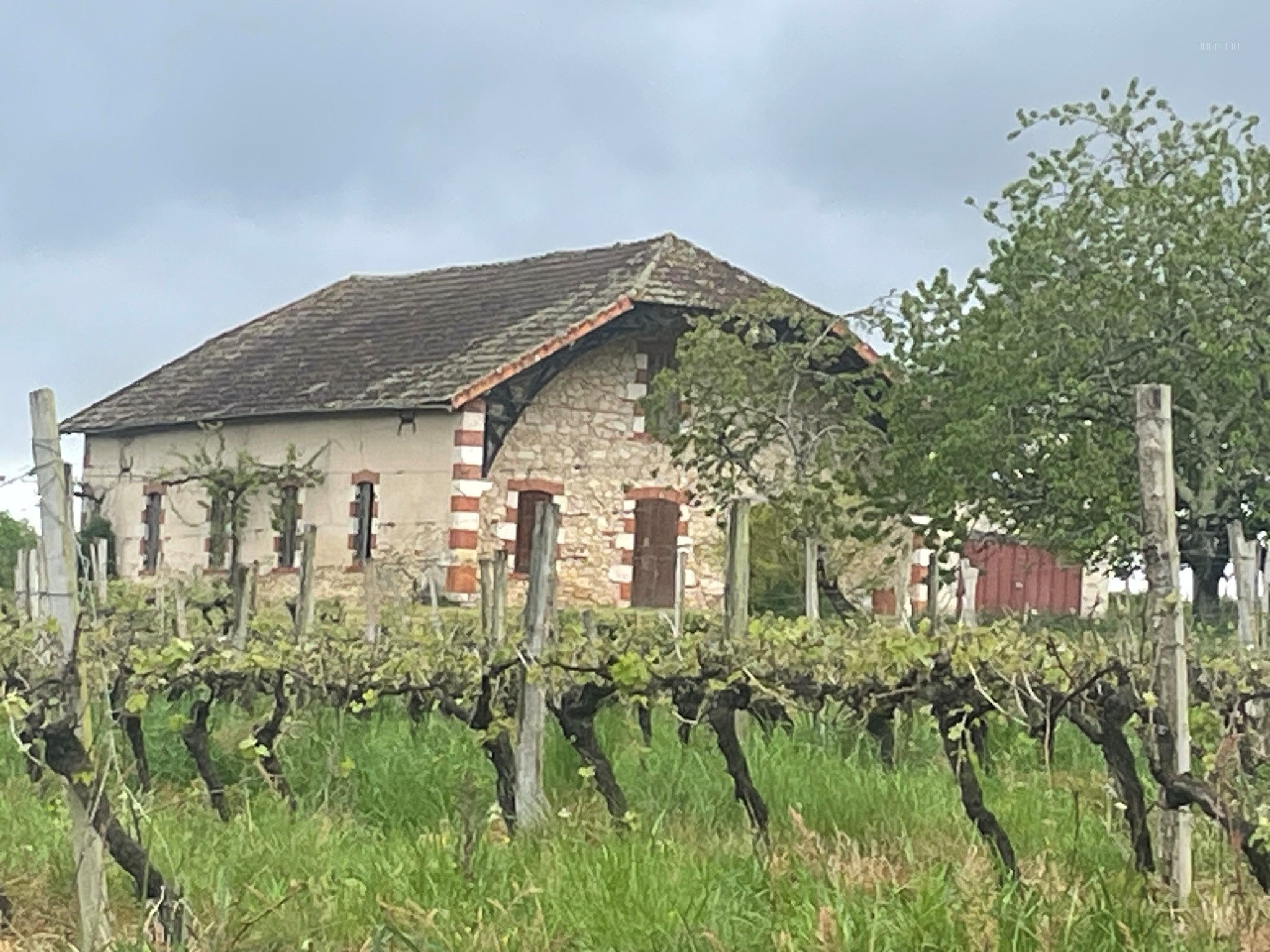 Au calme, maison à 30 minutes de Mont de Marsan — photo 1