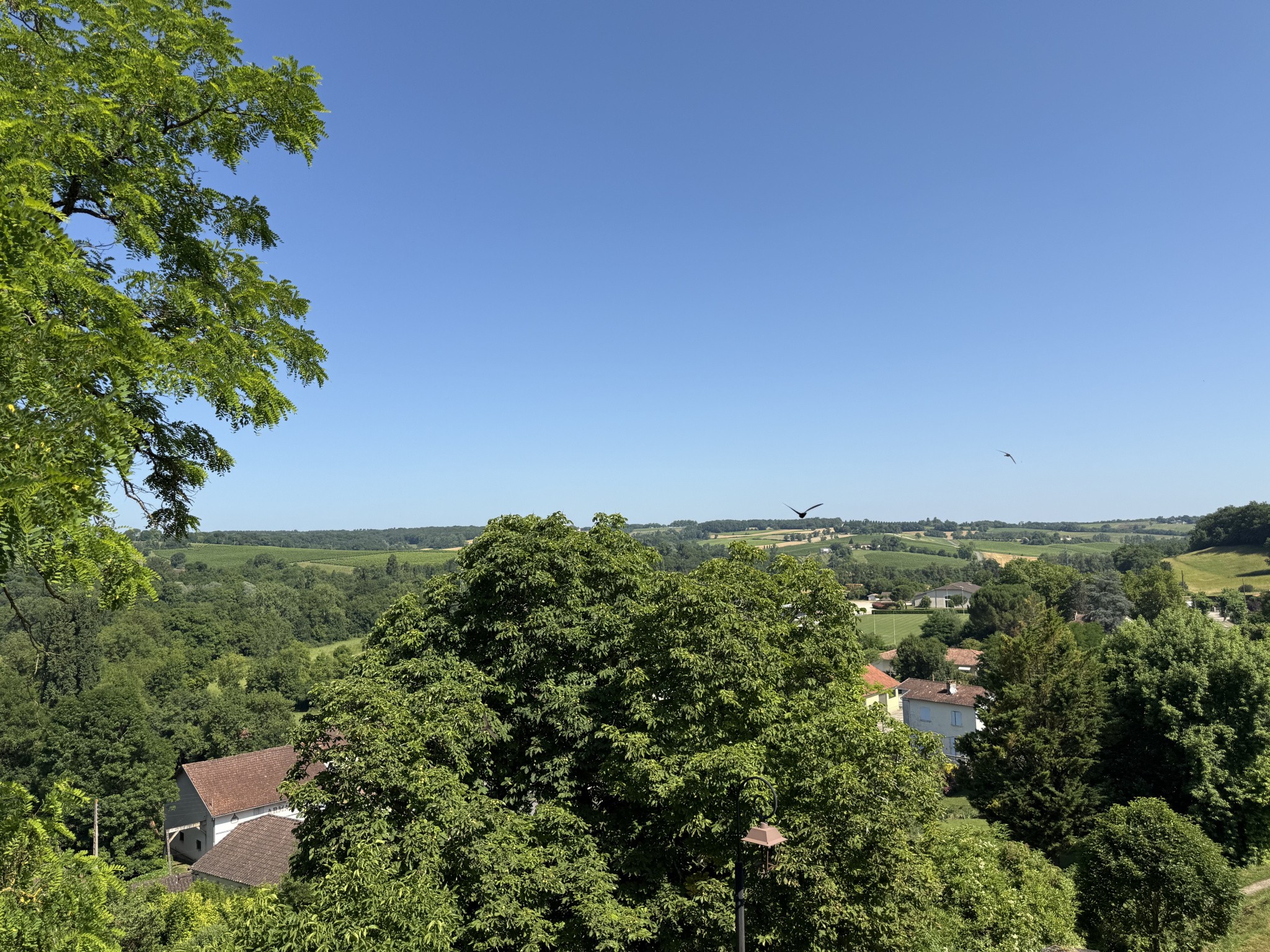 Ancien presbytère avec jardin dans le cœur du village de Montréal du Gers — photo 12
