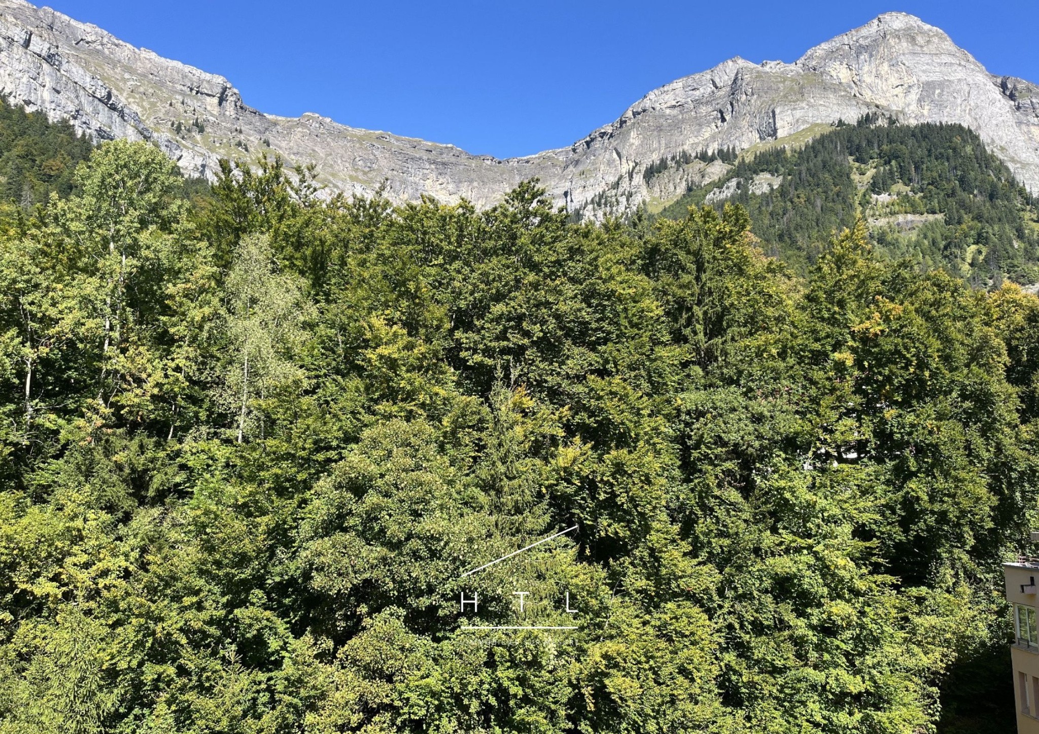 Appartement T2 40 m2 à repeindre, balcon vue Mont-Blanc - Plateau d’Assy — photo 11