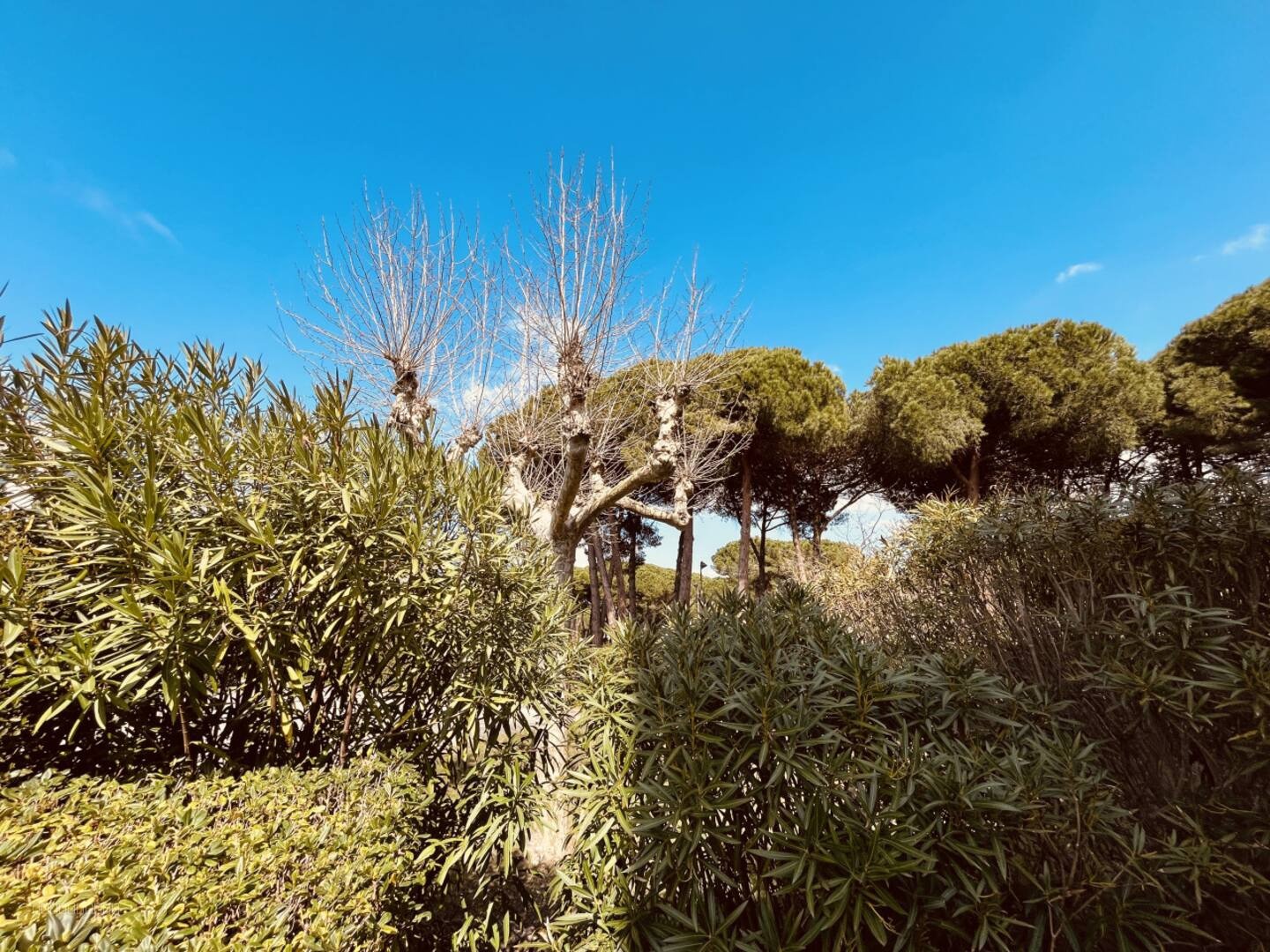 STUDIO CABINE D'EXCEPTION LA GRANDE MOTTE - SECTEUR PRIVILEGIE + PARKING PRIVE A 250M DES PLAGES ET COMMERCES — photo 8