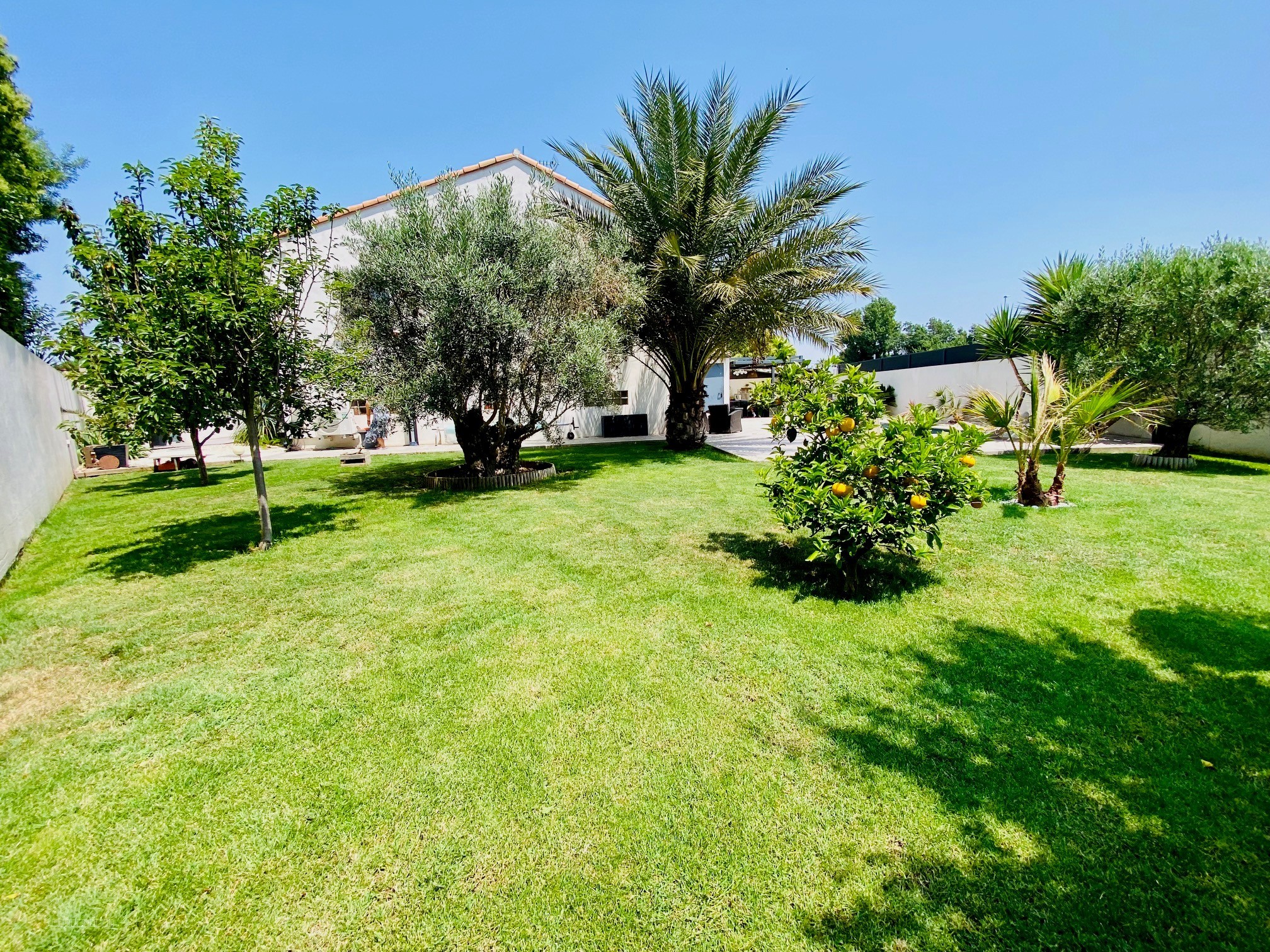 VILLA LATTES - MAGNIFIQUE VILLA  D'ARCHITECTE 4 CHAMBRES DE 175M2 SUR 675M2 DE TERRAIN AVEC PISCINE ET JACUZZI — photo 2