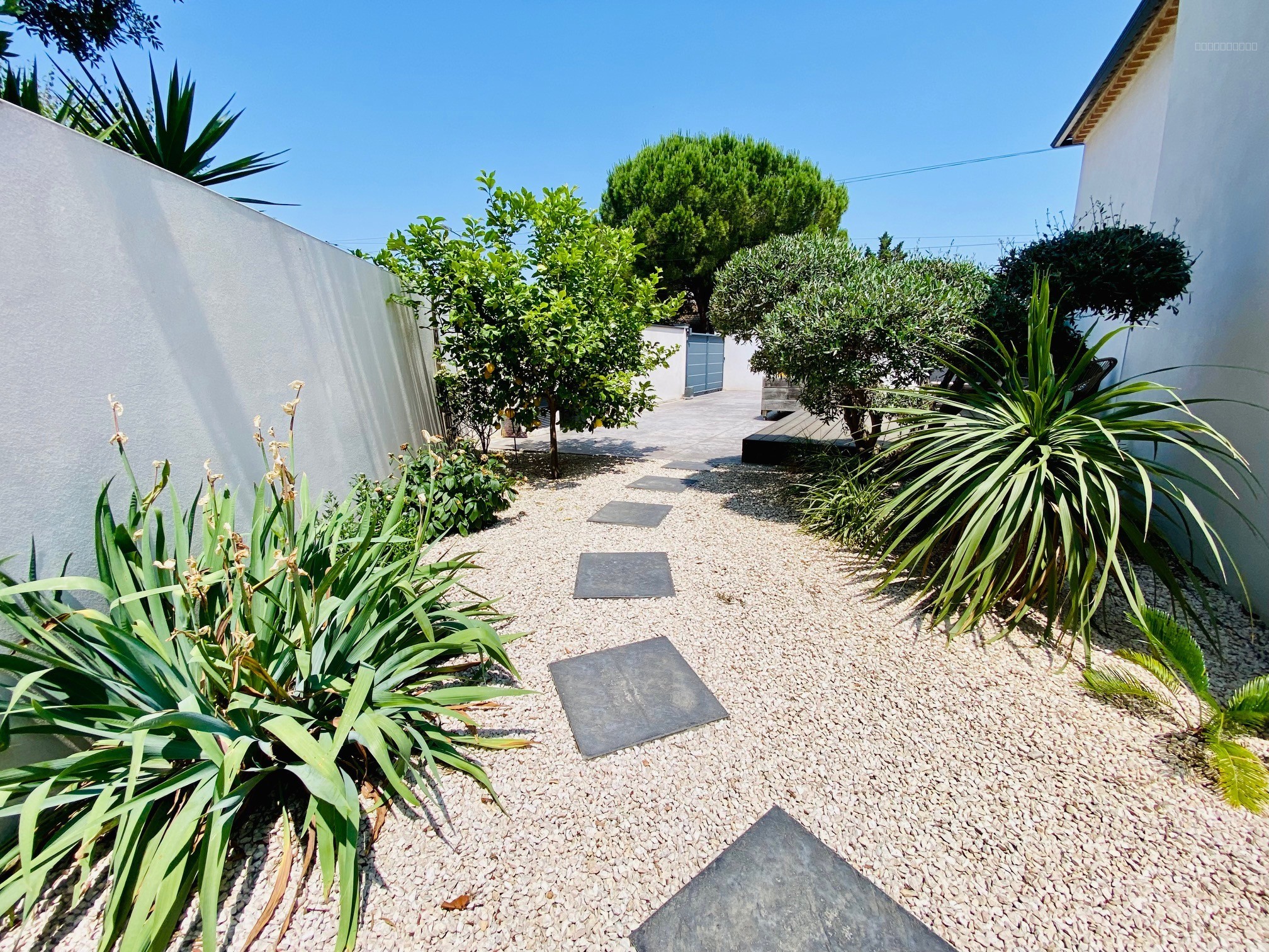 VILLA LATTES - MAGNIFIQUE VILLA  D'ARCHITECTE 4 CHAMBRES DE 175M2 SUR 675M2 DE TERRAIN AVEC PISCINE ET JACUZZI — photo 3