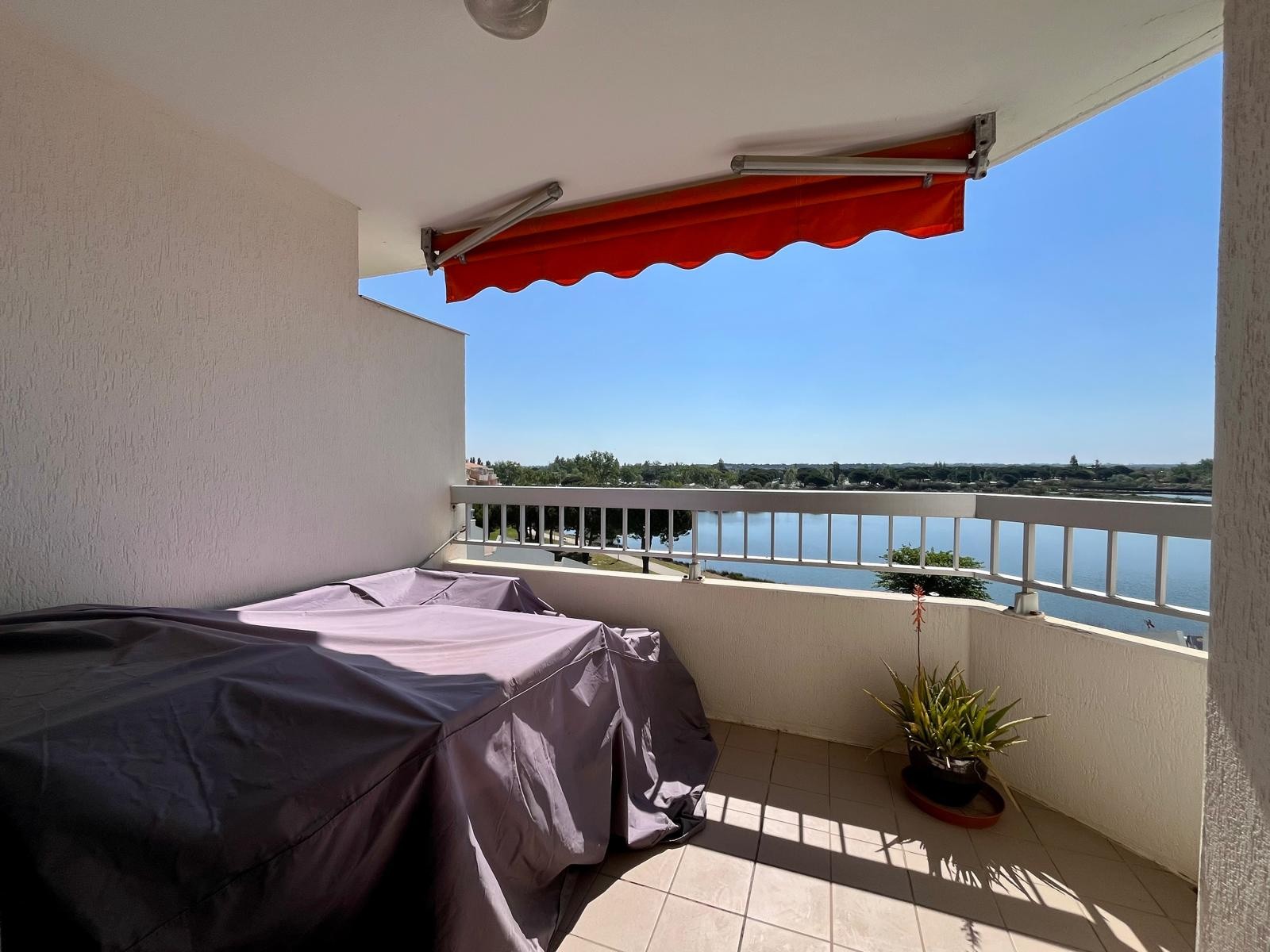 Magnifique T2 cabine de 32M2 entirement rénové avec vue sur le Lac Salonique - PORT CAMARGUE — photo 7