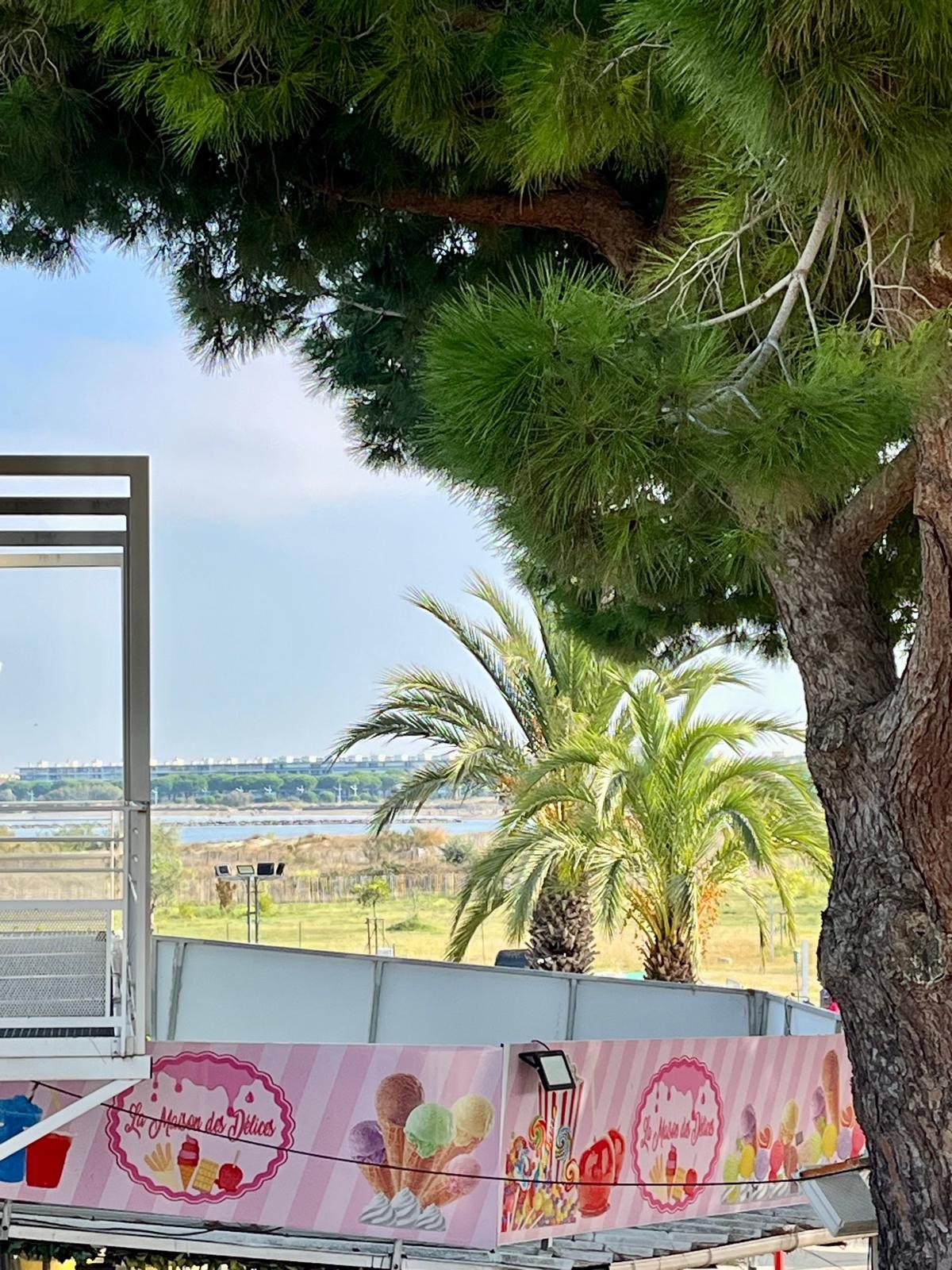 Appartement T2 avec terrasse de 15m2 en 1er ligne - PORT CAMARGUE PLAGE NORD — photo 3