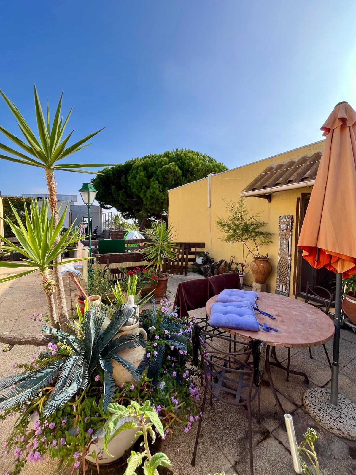 Appartement T2 avec terrasse de 15m2 en 1er ligne - PORT CAMARGUE PLAGE NORD — photo 8