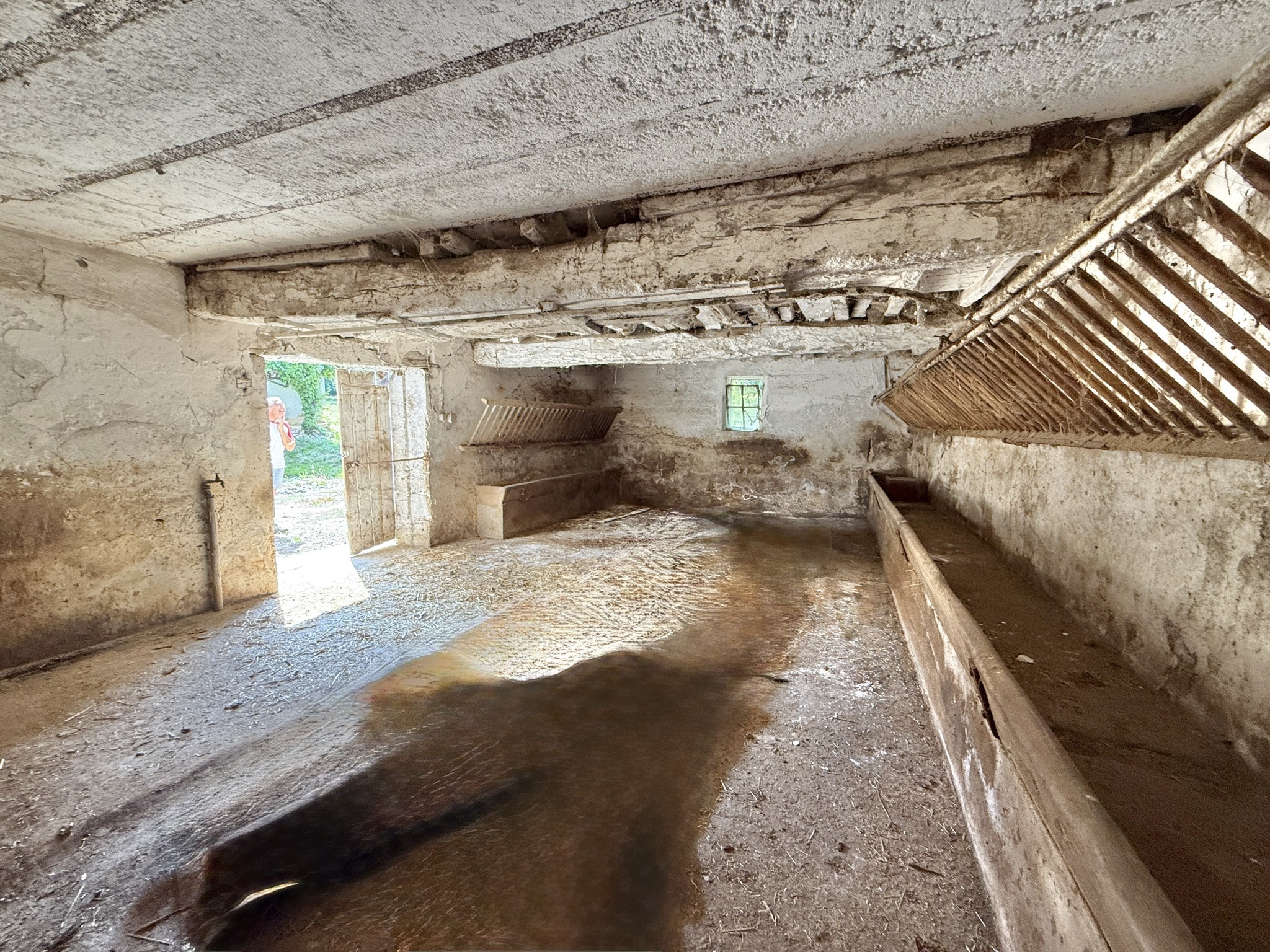 GRAND CORP DE FERME a LURCY — photo 12