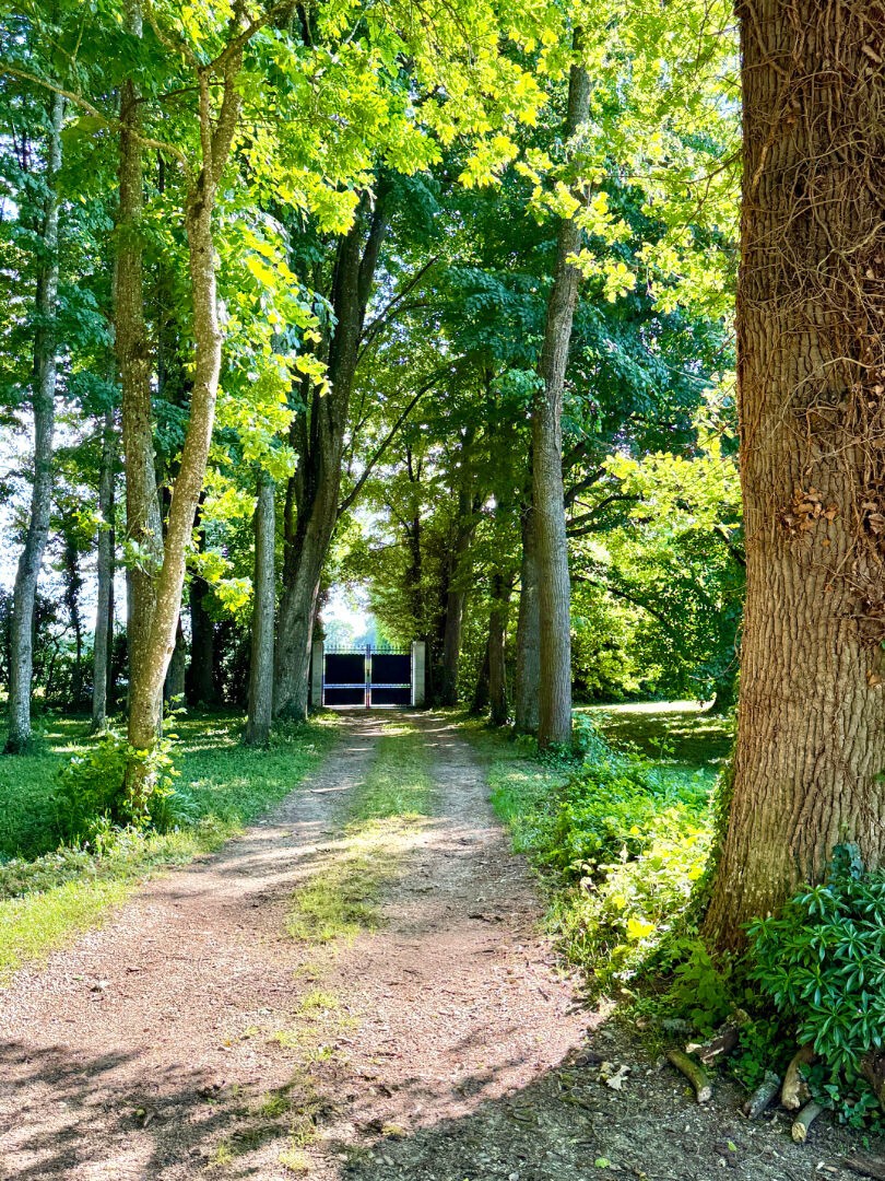 GRANDE MAISON FAMILIALE EN PLEINE NATURE — photo 2