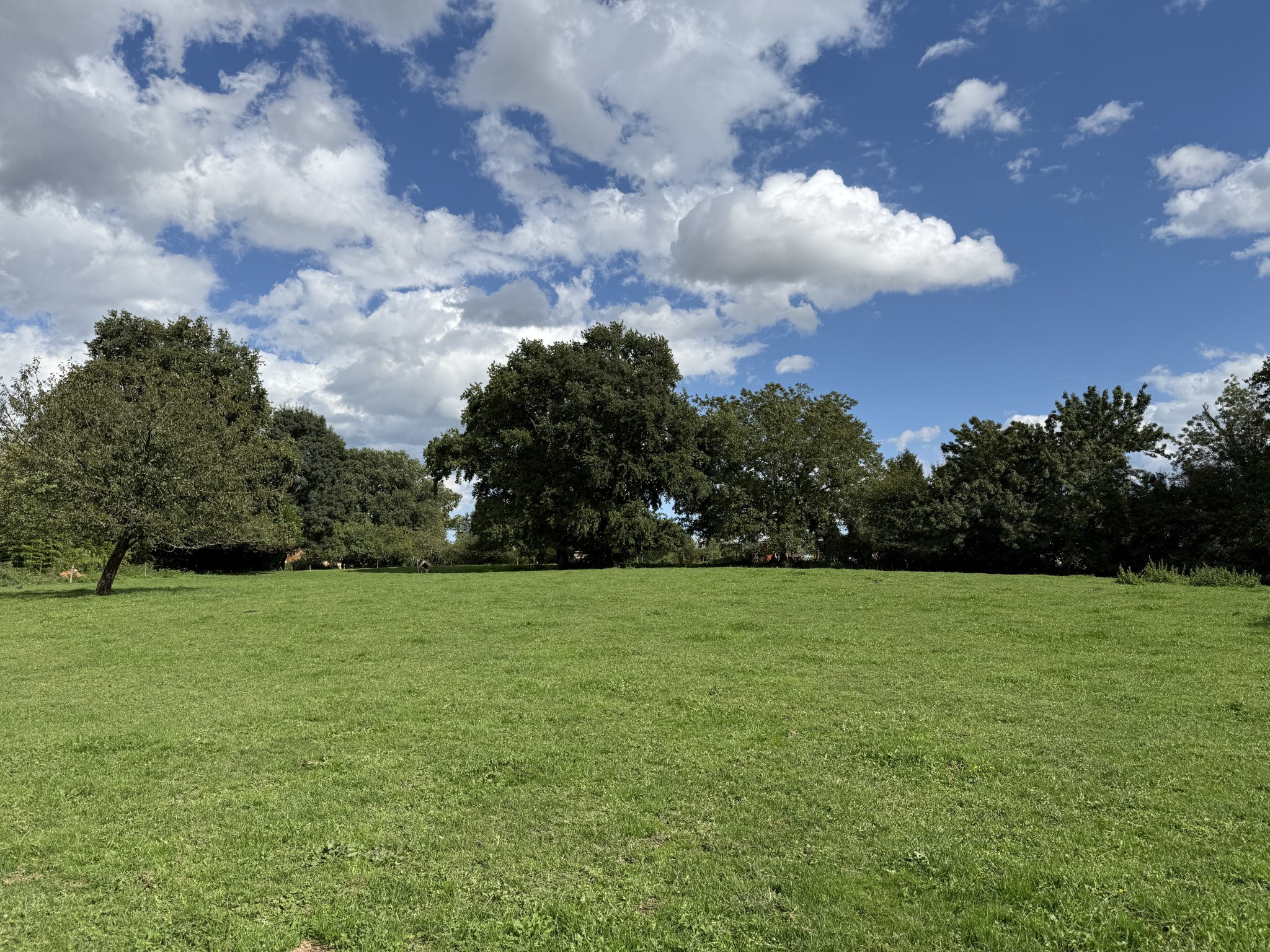 GRAND CORP DE FERME a LURCY — photo 20
