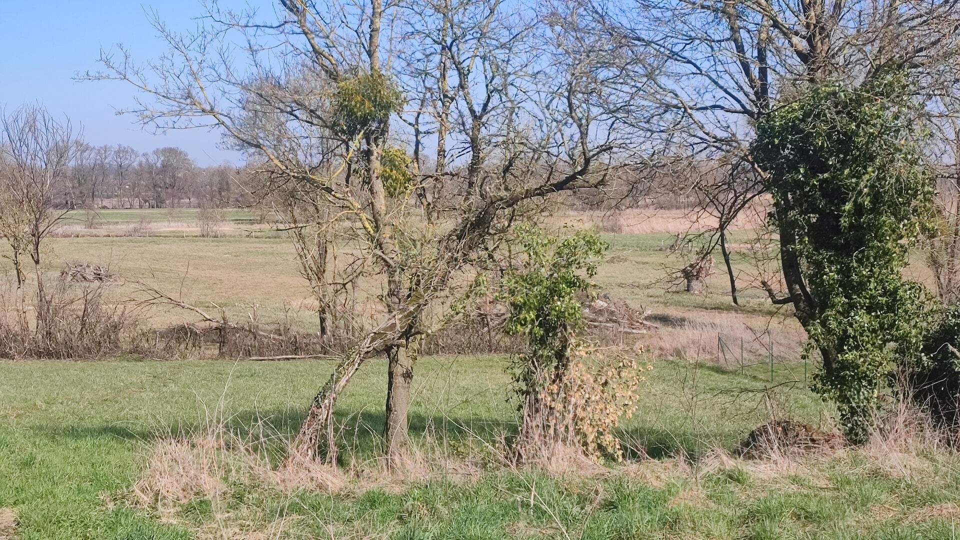 Terrain Constructible 1501 m2 — photo 3