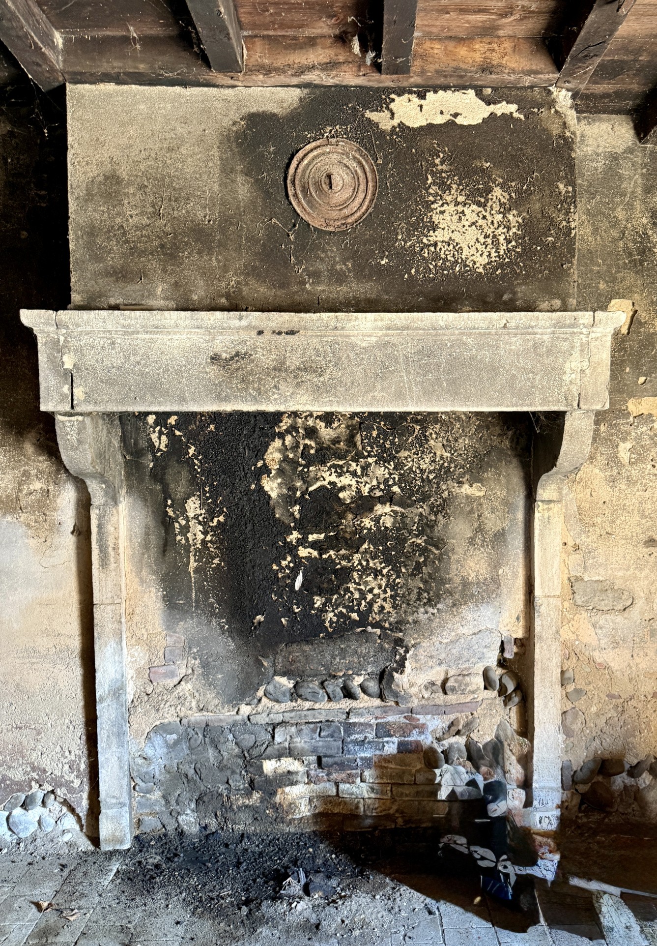 GRAND CORP DE FERME a LURCY — photo 13