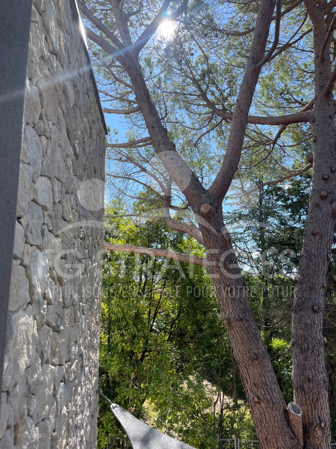 Villa 4 pièces - piscine et jardin- d'exception à Aiguelongue - MONTPELLIER — photo 20