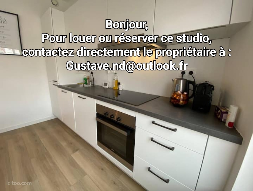 Studio à louer Paris 75001, cuisine équipée moderne avec électroménager intégré et plan de travail.
