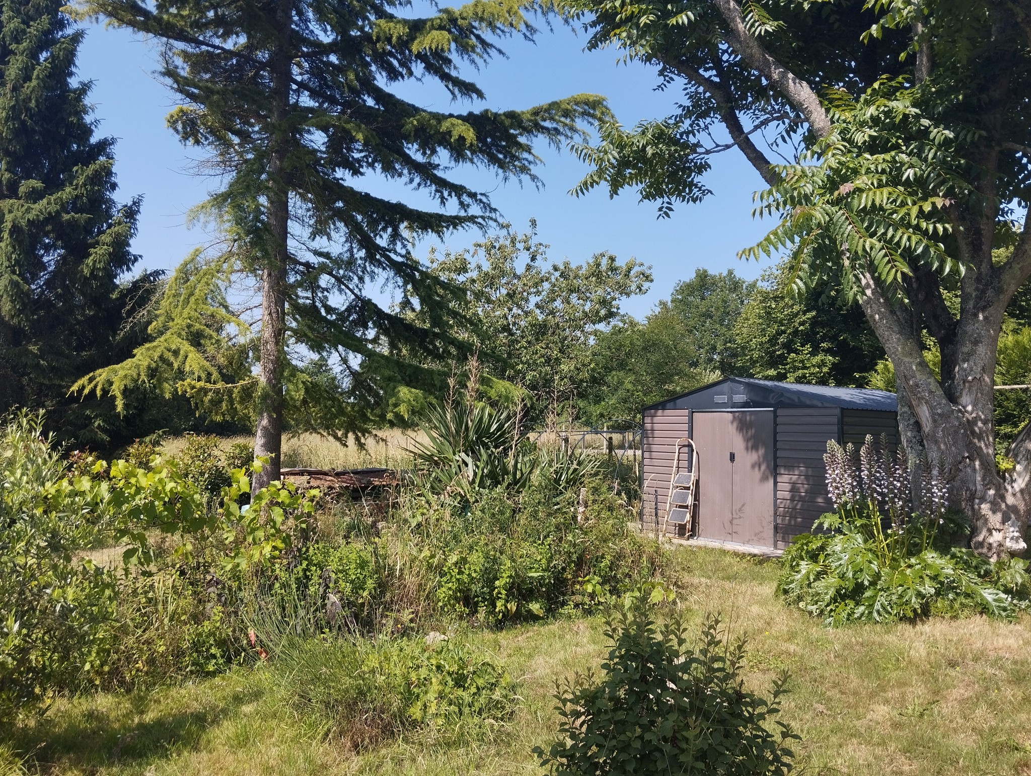 Plain pied 3 chambres proche bourg — photo 4