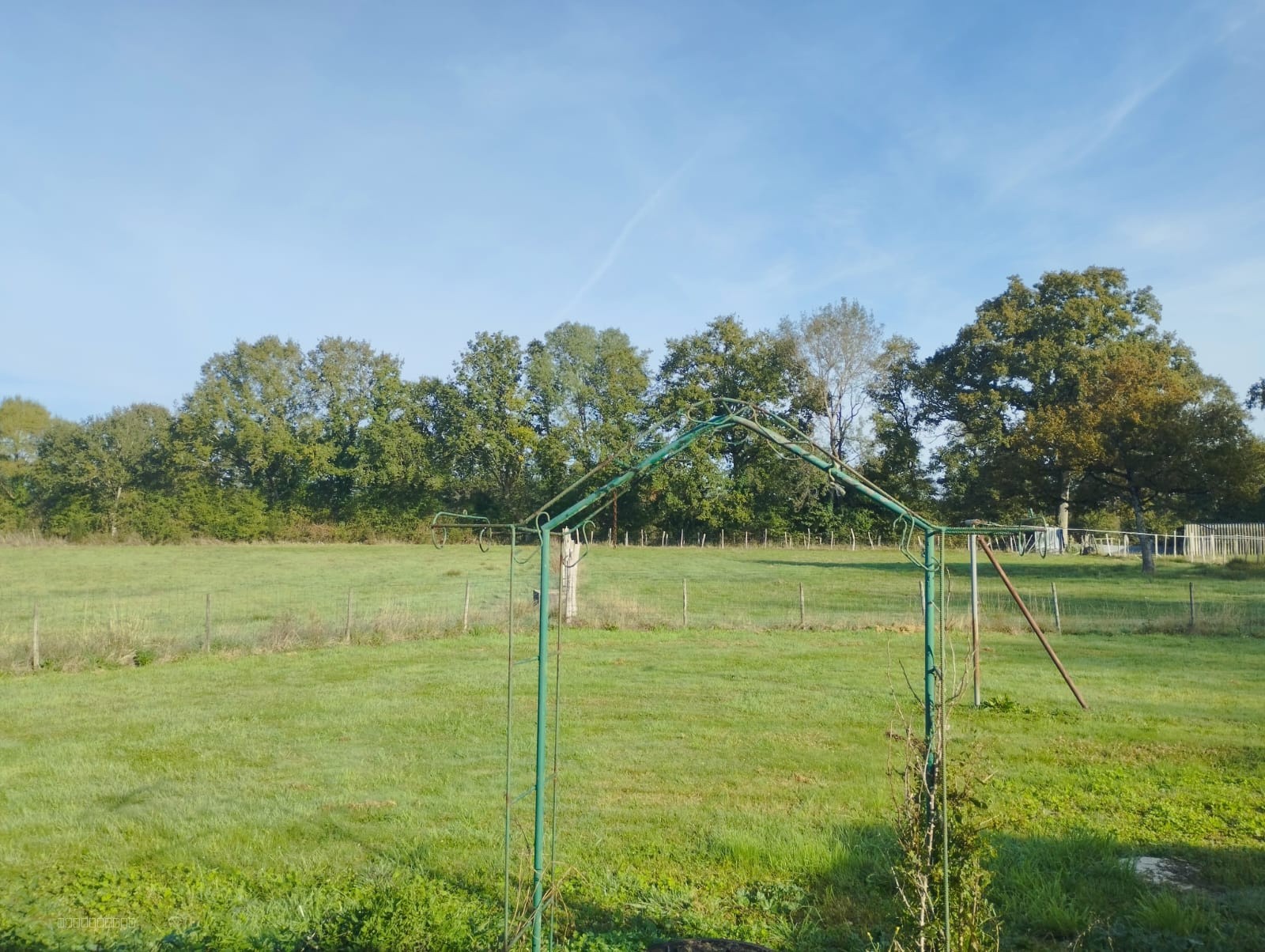 Maison 5 chambres sur 1 ha de terrain - Possibilité d'acquérir en + 2 hangars (2 500 m2) sur 2 ha de terrain — photo 10