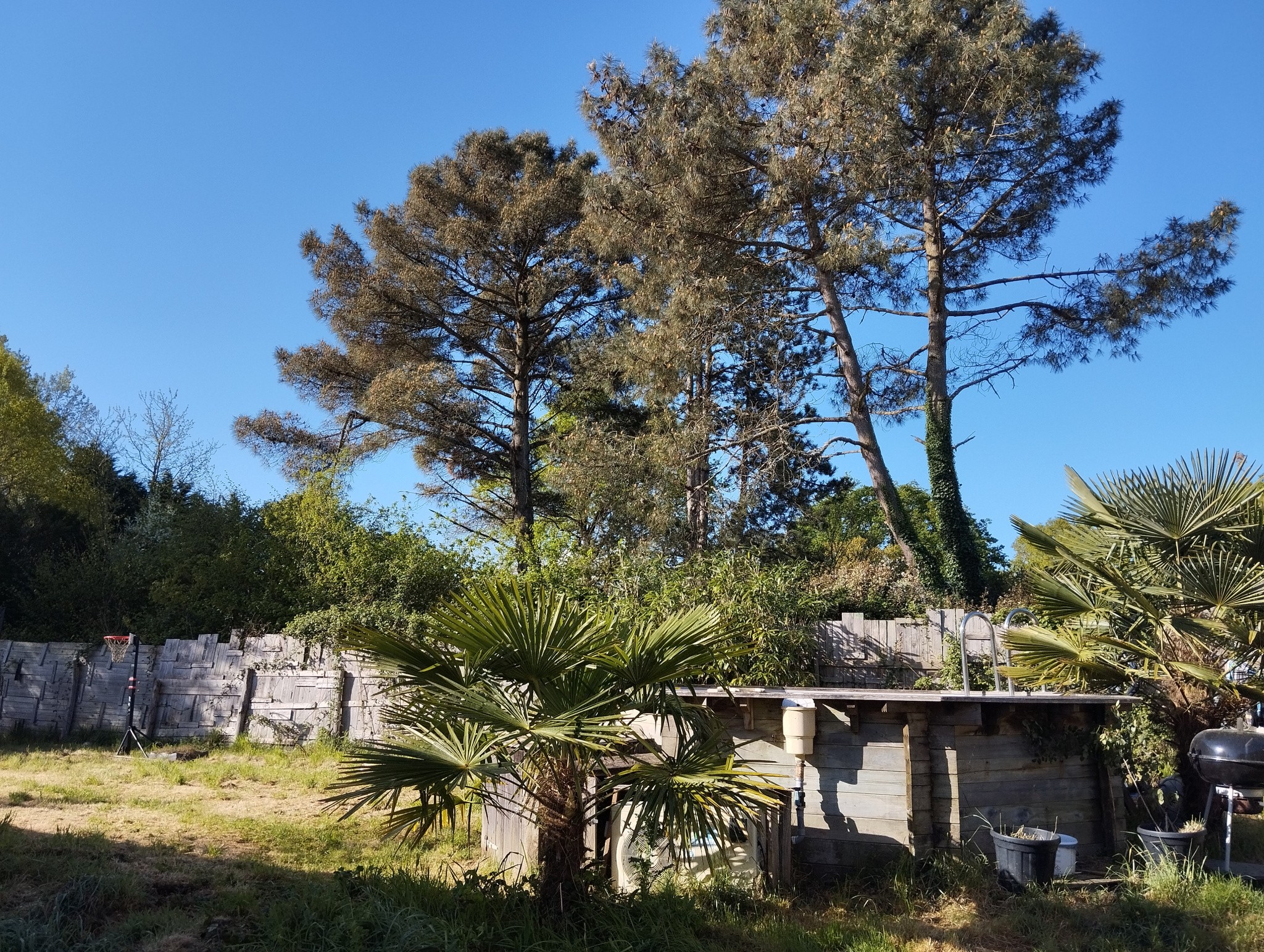 Guenrouet Proche Quilly — photo 3