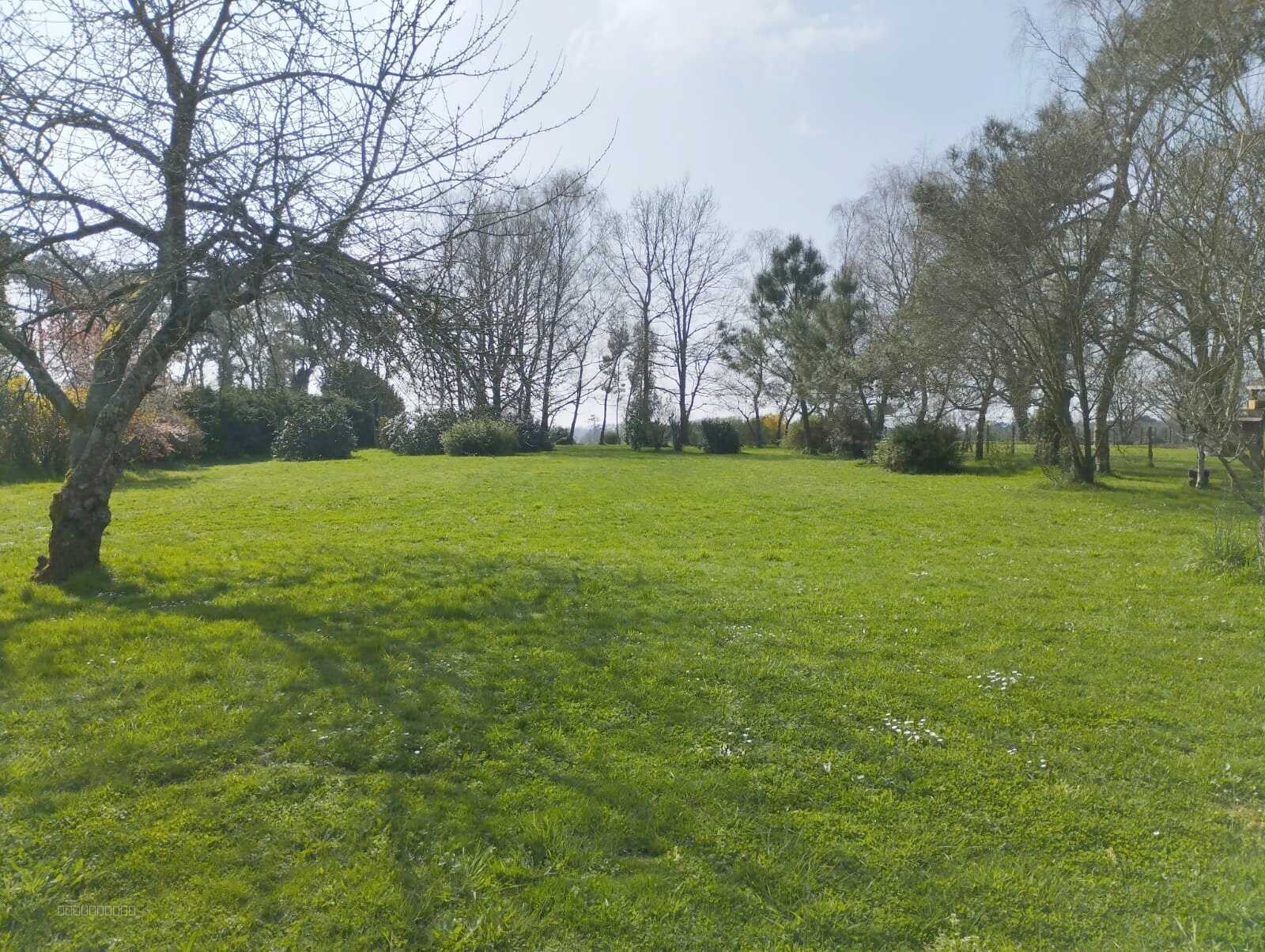 Maison familiale sur grand terrain — photo 8