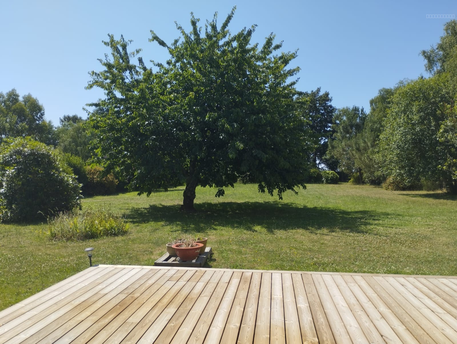 Maison familiale sur grand terrain — photo 7