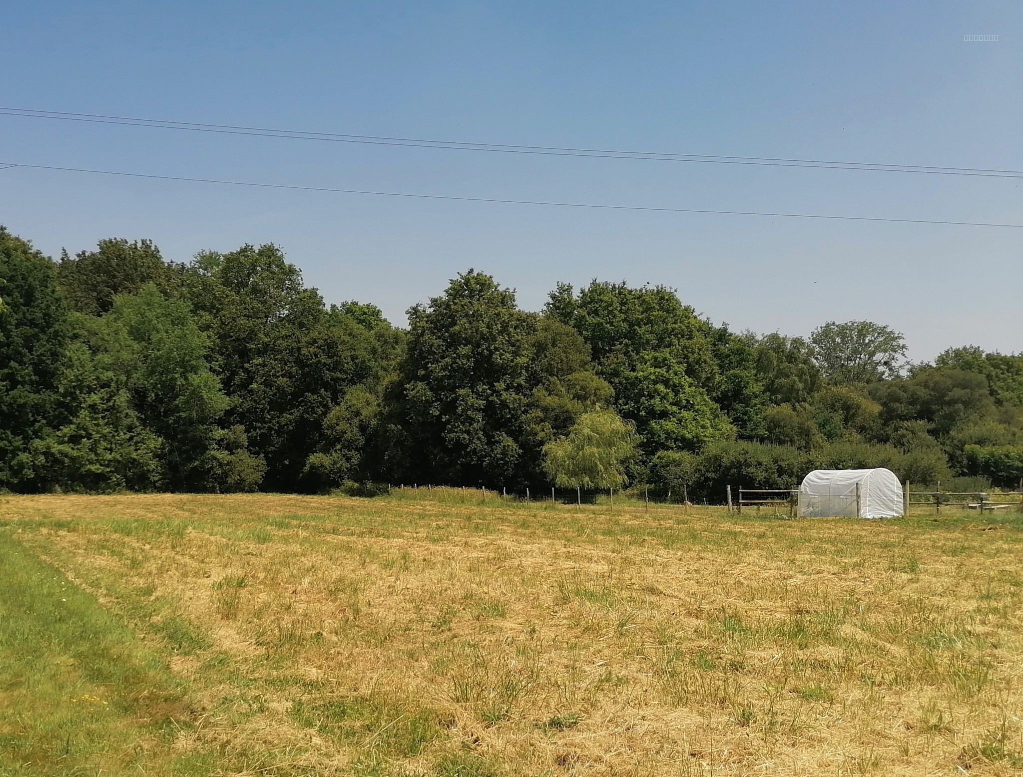 Terrain constructible de 1 103 m2 sur une parcelle de 2 500 à 3 500 m2