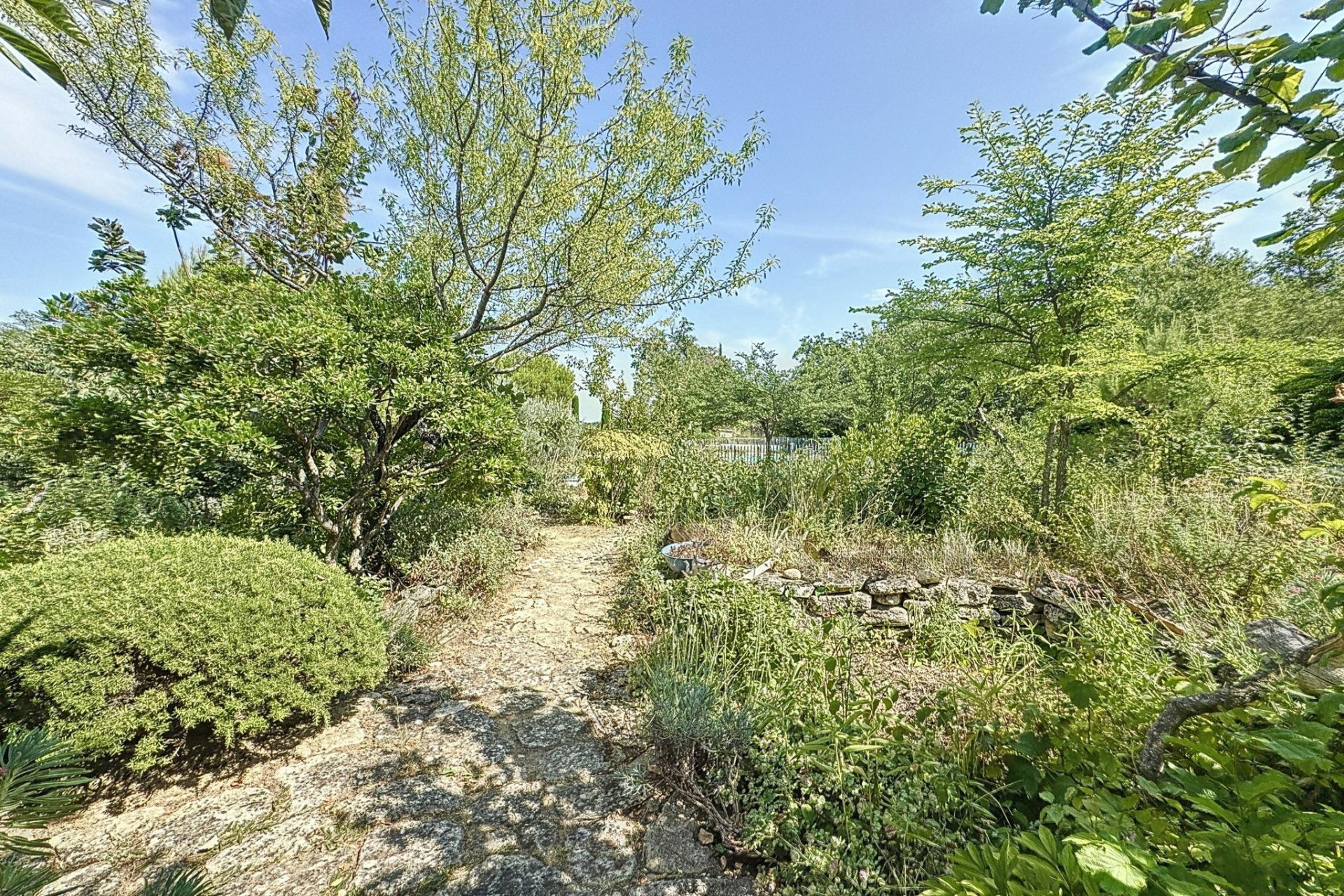 maison Saignon — photo 16