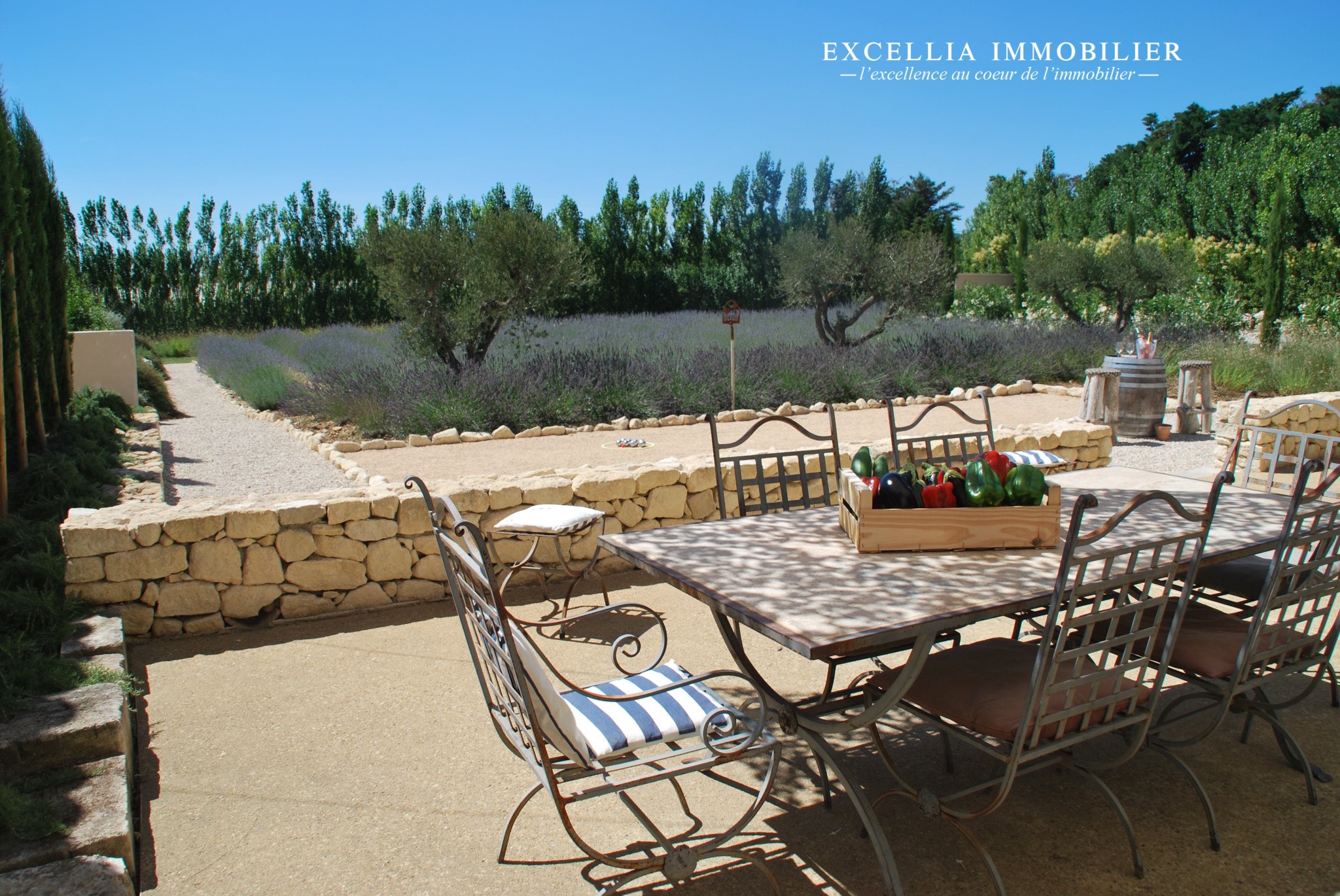 À vendre magnifique Mas Contemporain à Maussane-les-Alpilles - Le Mas de Canaille — photo 4