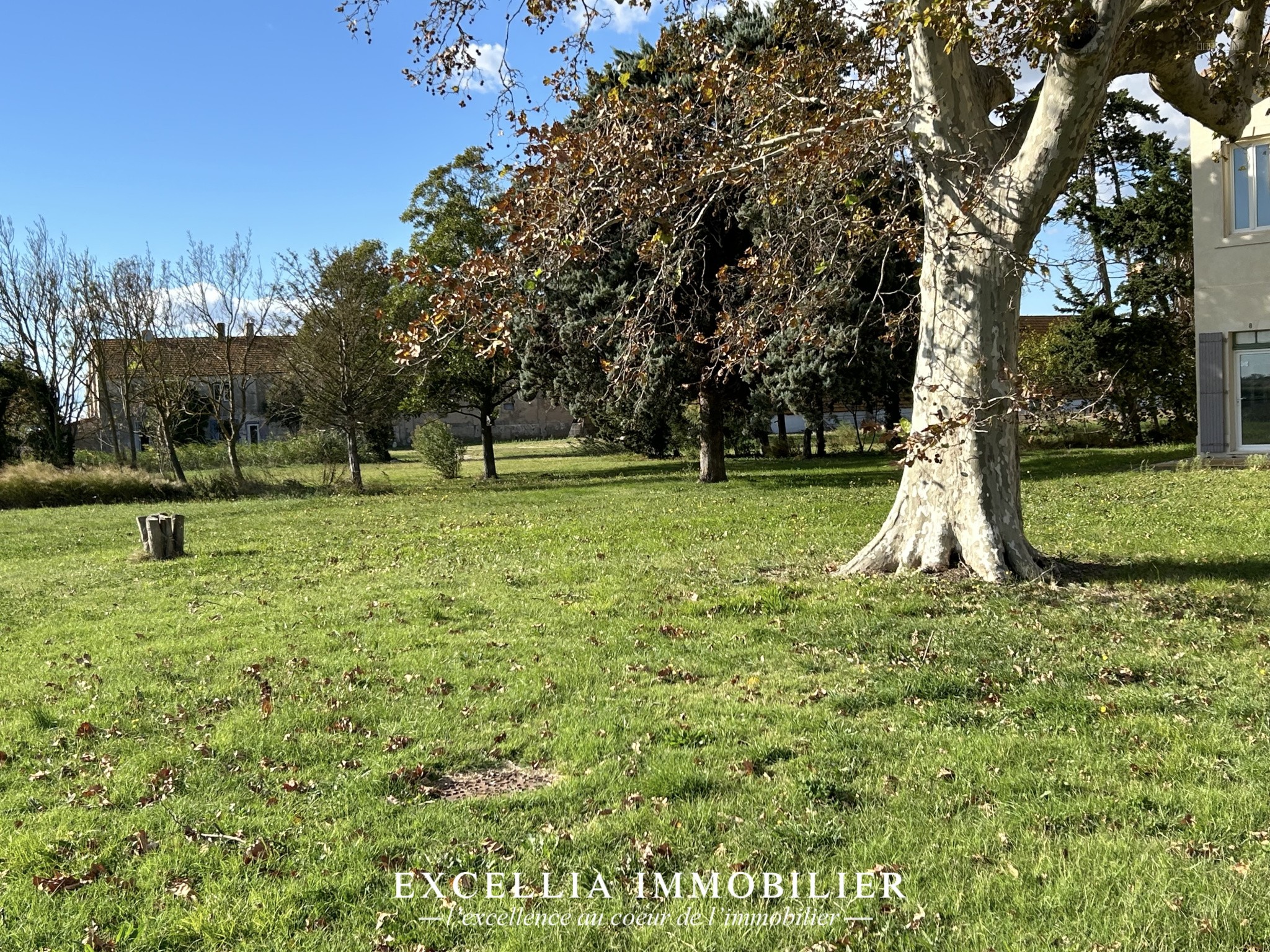 À vendre Domaine en Camargue — photo 7