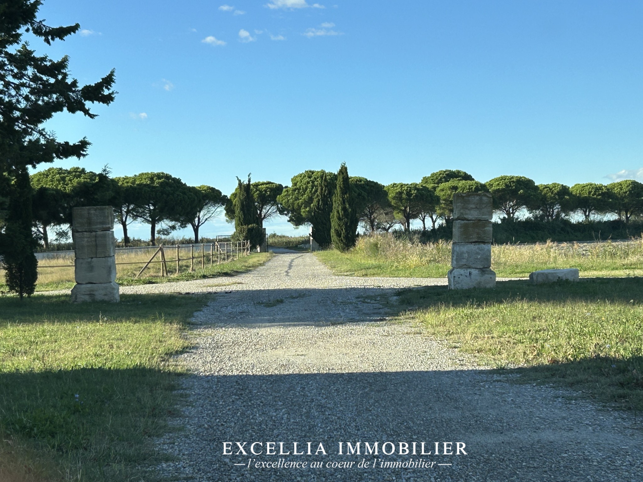 À vendre Domaine en Camargue — photo 3