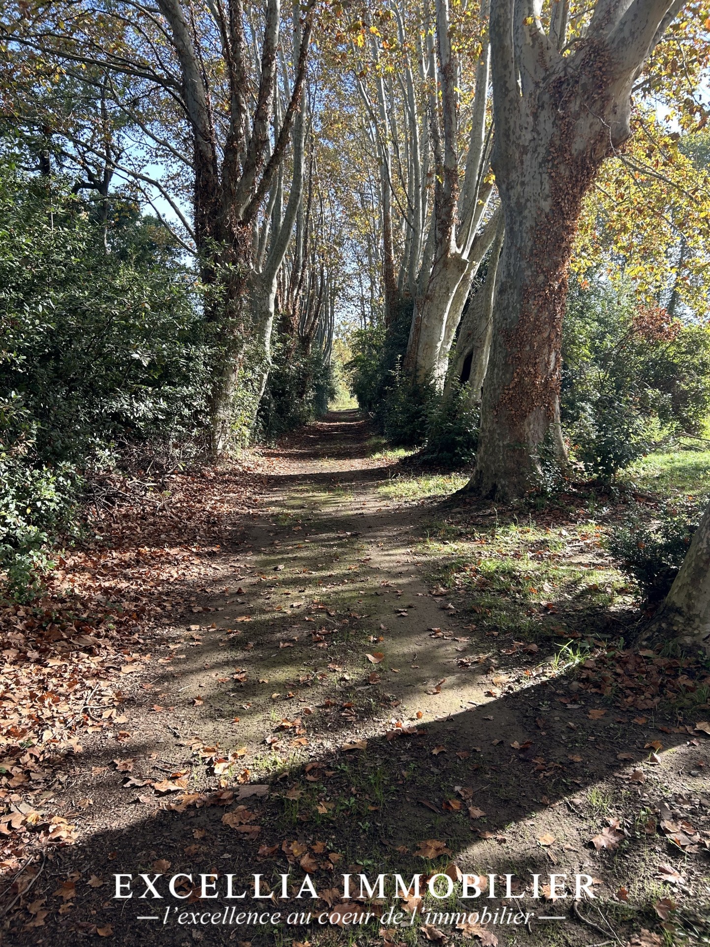 Château de Suffren - Entressen — photo 7