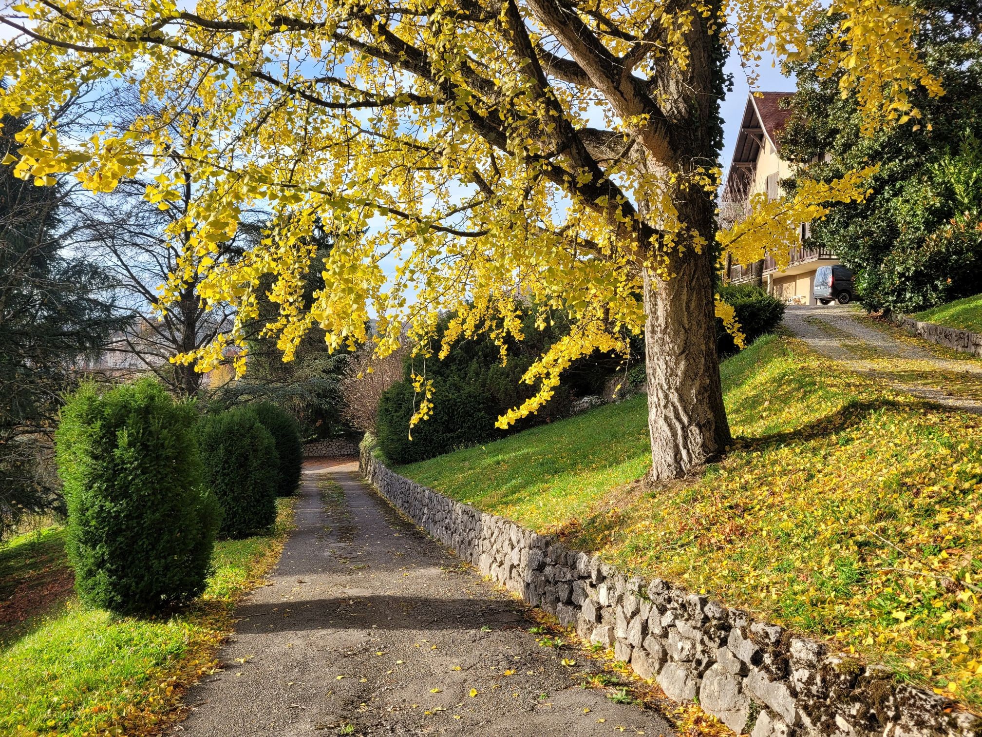 Magnifique propriété familiale à Voiron — photo 4