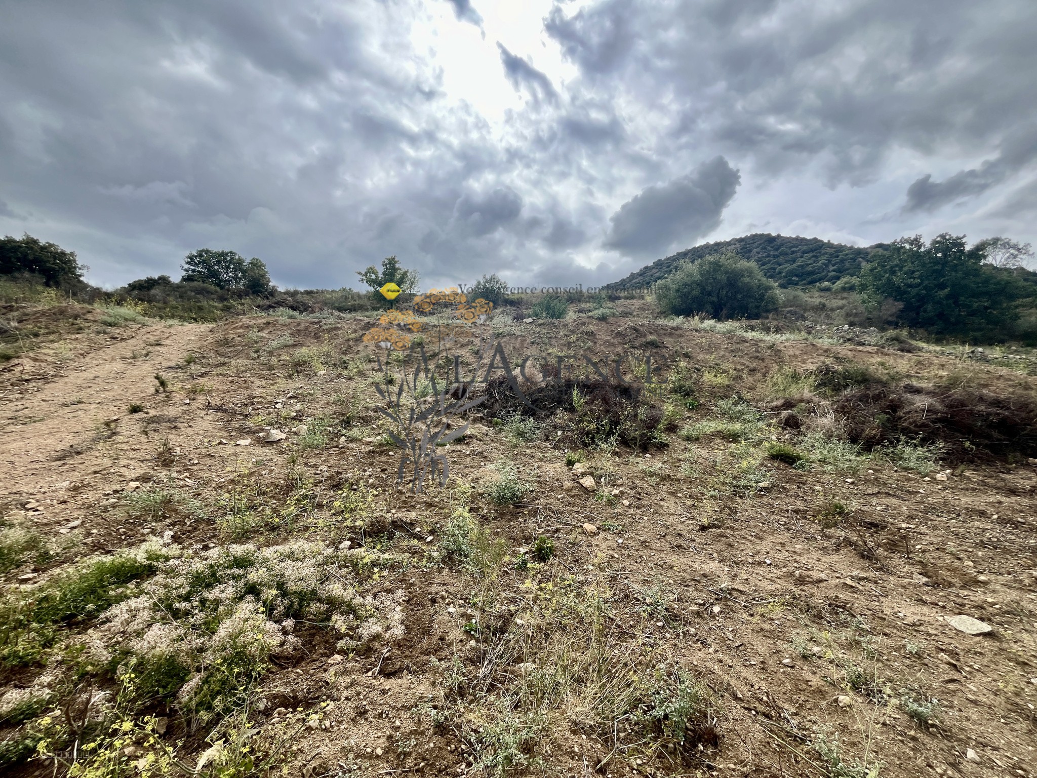 TERRAIN + PERMIS -  MONTICELLO — photo 2