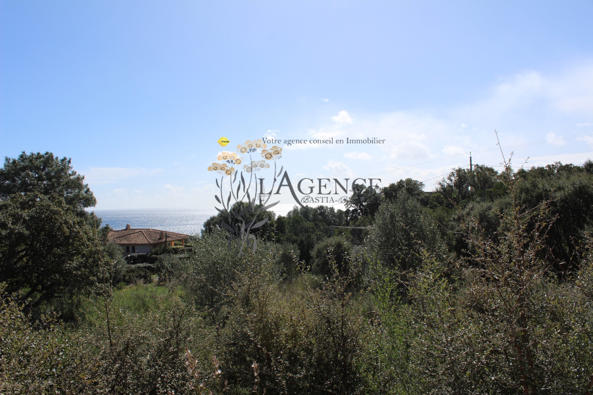 PROPRIETE VALLE LONGA — photo 2